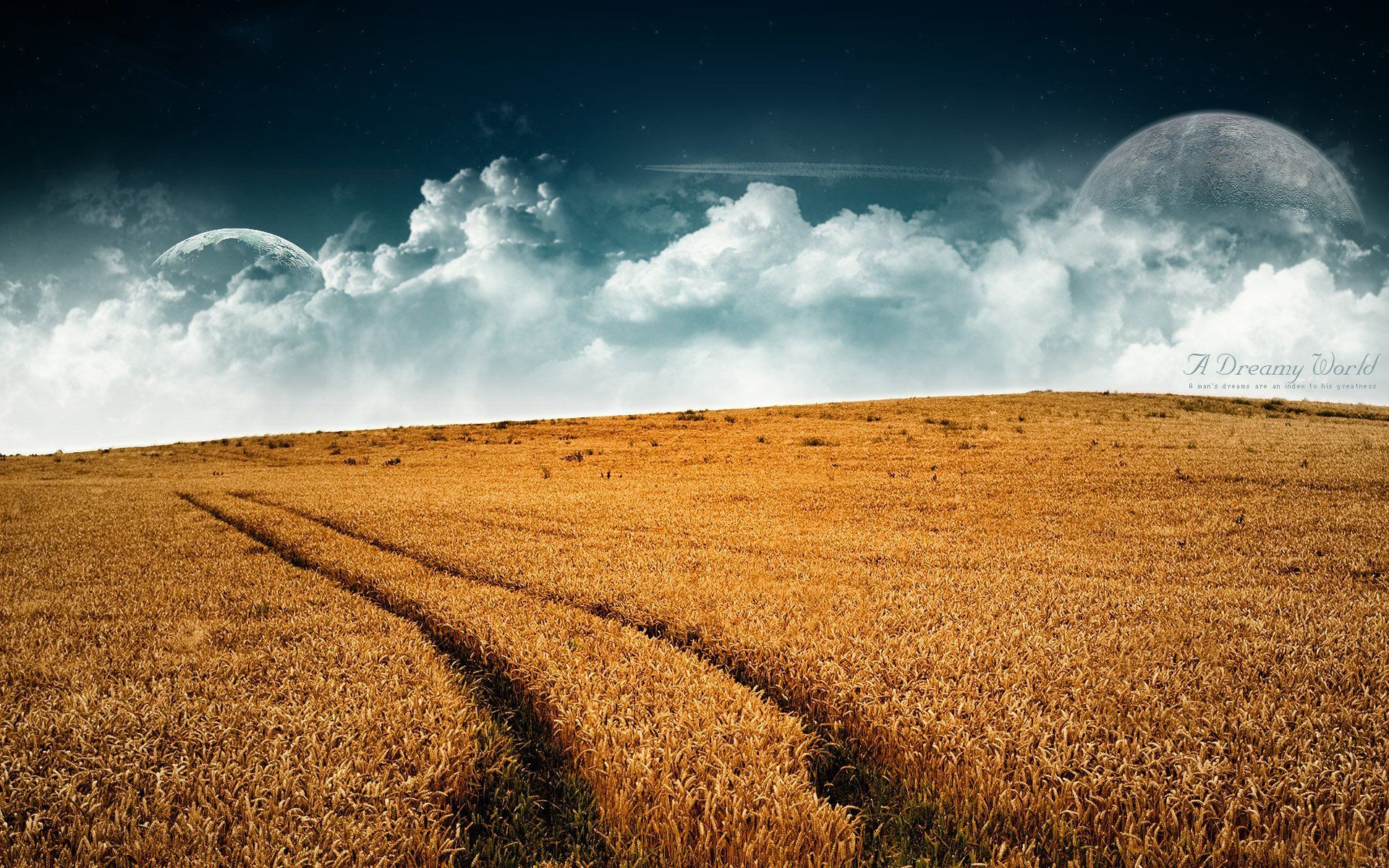 1920x1200 field, Dreamy, World Wallpaper HD / Desktop and Mobile Background