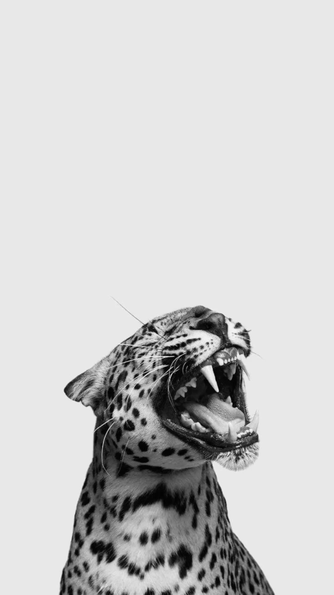 1080x1920 Entdecke 19 Hintergrundbild Stockholm Style und ipad hintergrund Ideen. apple hintergrund iphone, ipad air hintergrund, hintergrund ideen und mehr