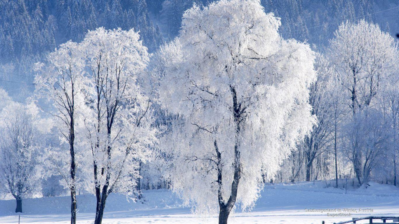 1366x768 Landscape Mountains Pristine Winter Forest Clouds Desktop Wallpaper