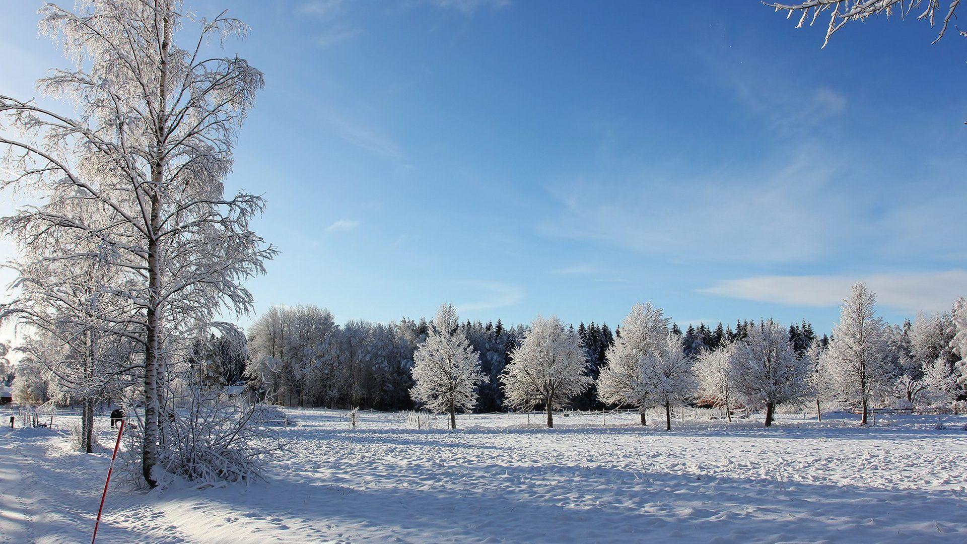1920x1080 Winter Wallpaper: Deco Winter Buildings Lights City