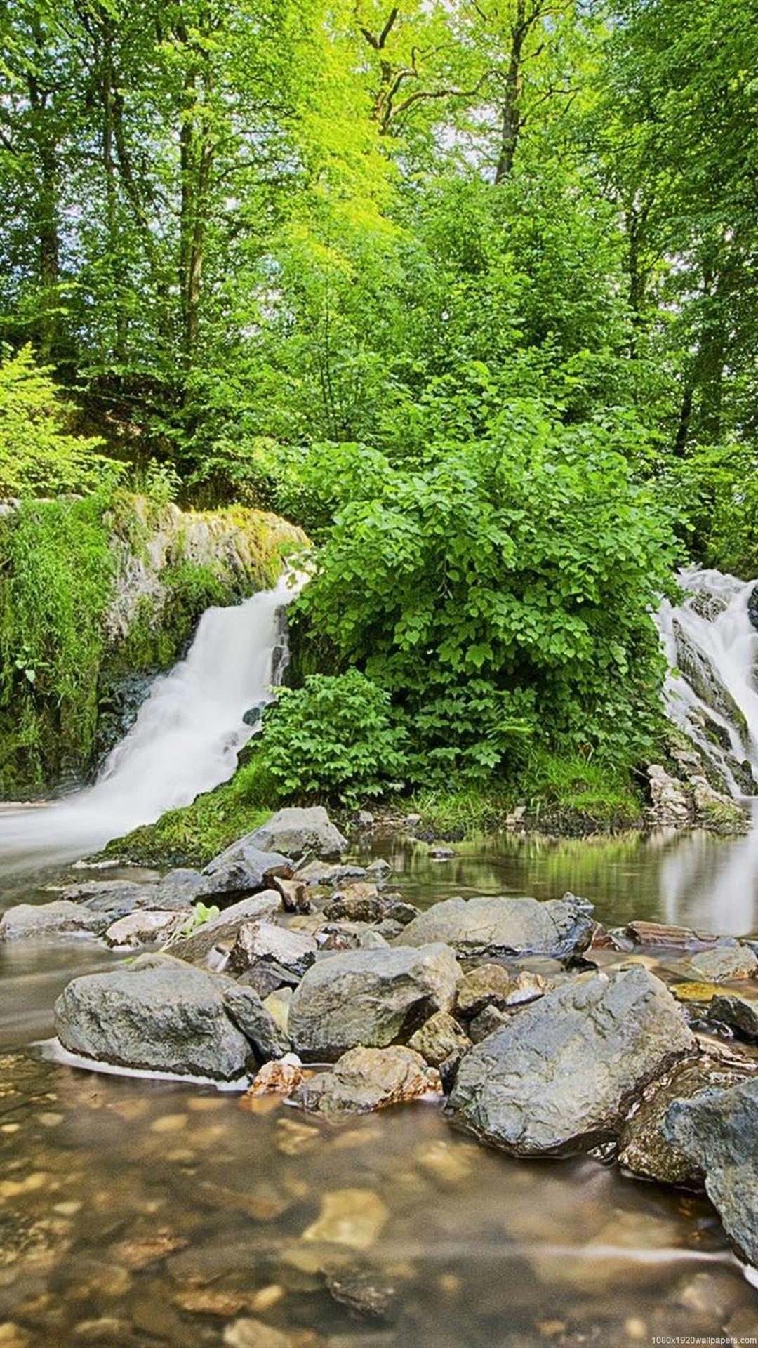 1080x1920 Tree Green Waterfall Nature Forest Wallpaper HD Wallpaper HD For Mobile Wallpaper & Background Download