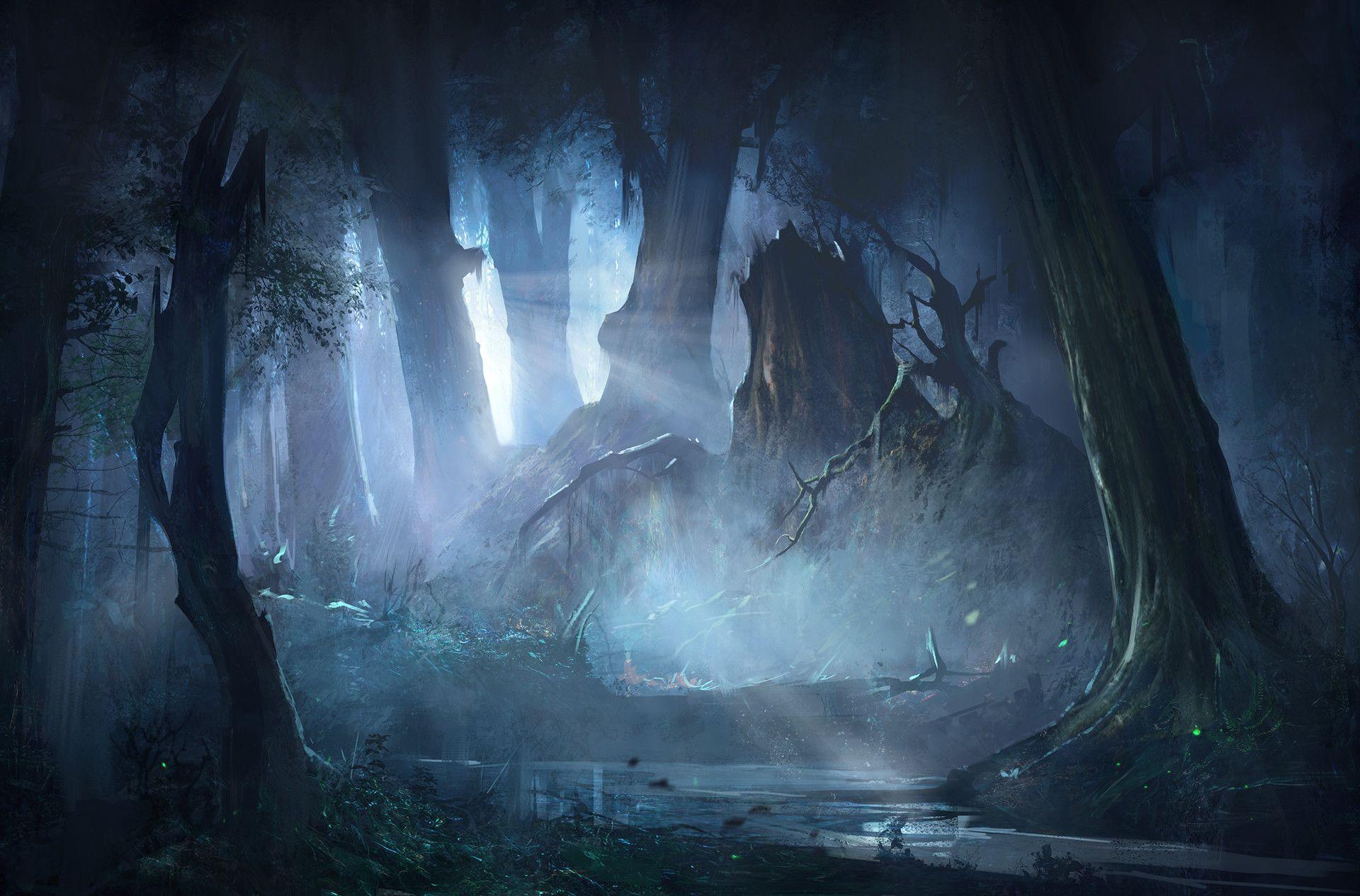 Mysterious Forest Wallpapers - Top Free Mysterious Forest Backgrounds