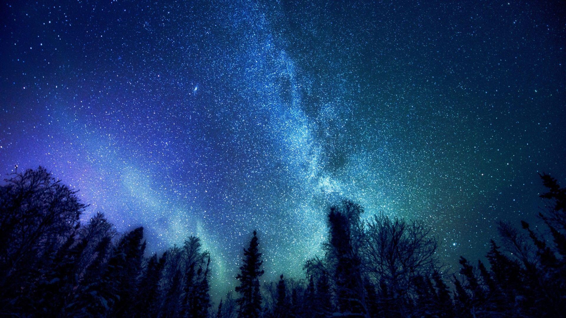 1920x1080 Download wallpaper the milky way, space, forest, trees, stars, mystery, space resolution 1920x1080. Sky image, Starry night sky, Magic aesthetic