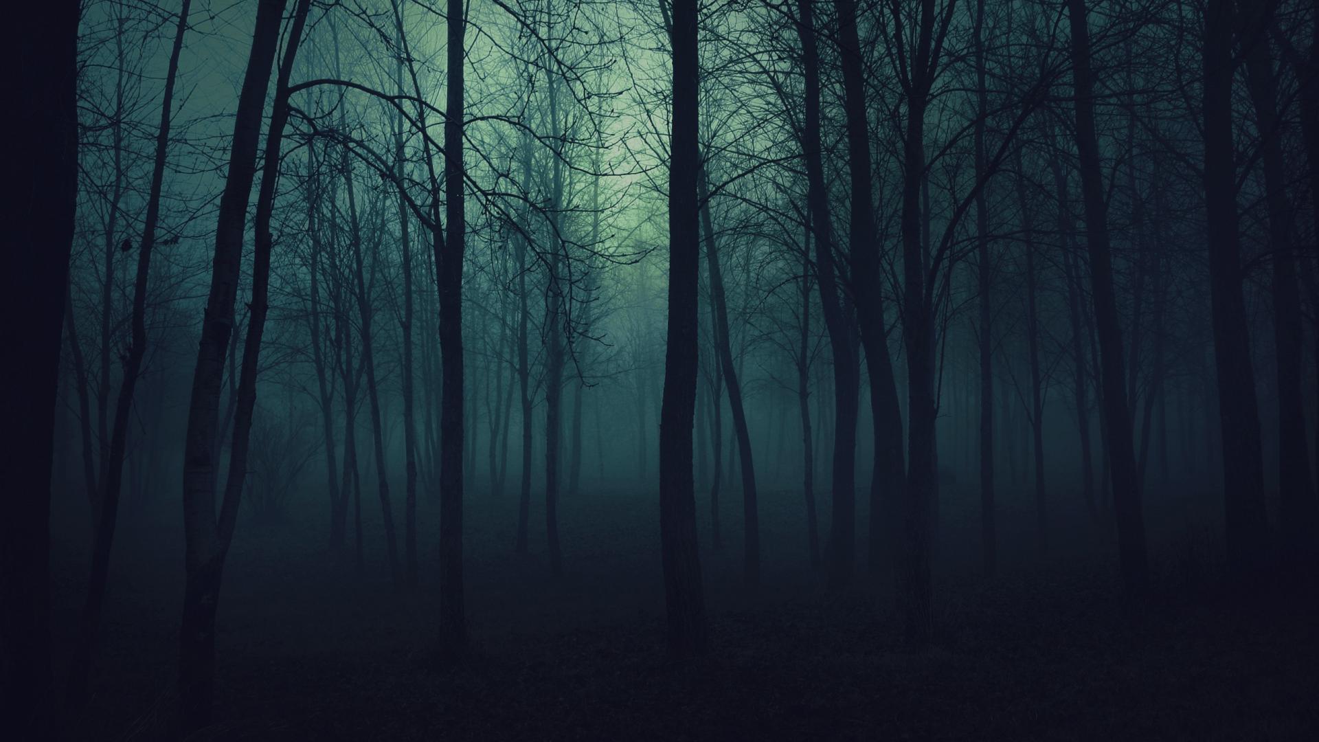 1920x1080 HQ Definition Mysterious Forest,