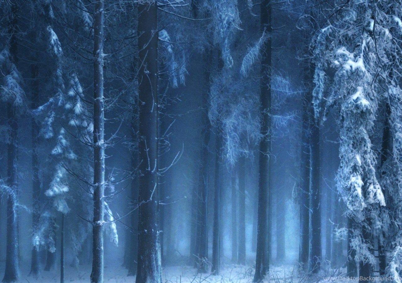 1280x900 Mysterious Forest In Winter Wallpaper Desktop Background