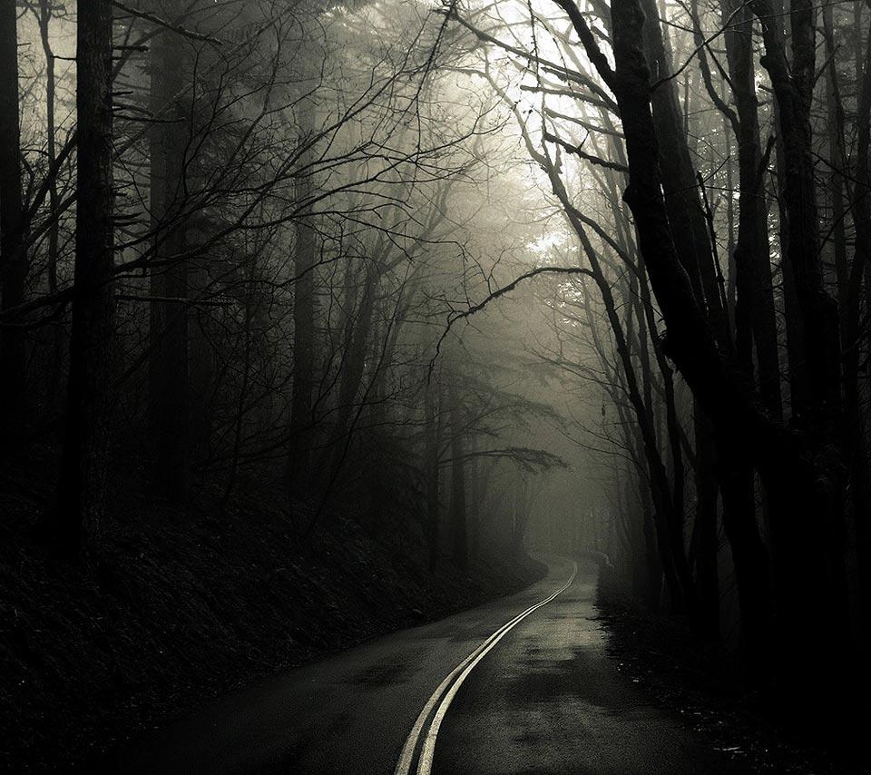 960x854 Dark Mystery Forest Road Tablet Phone Wallpaper Background