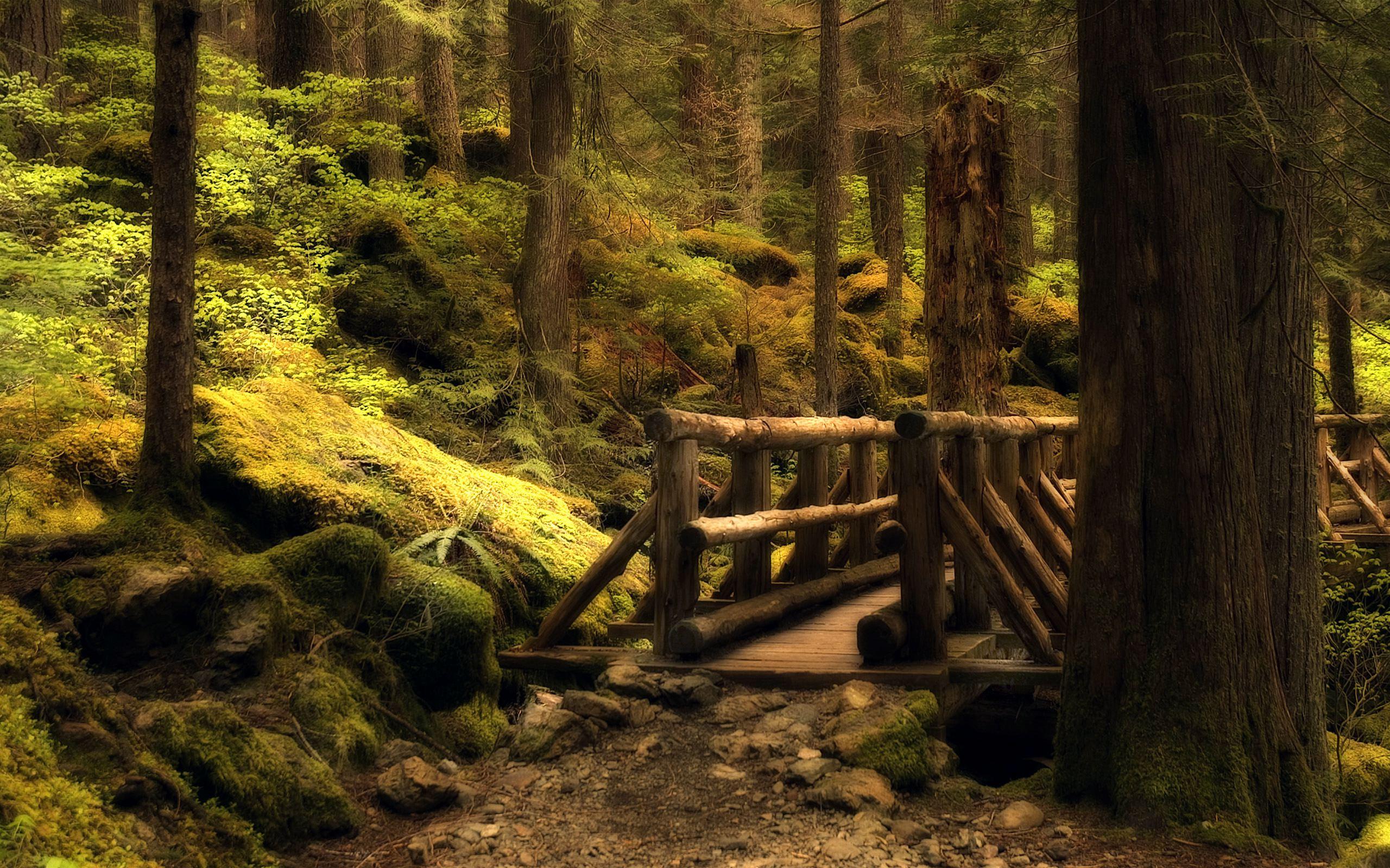 2560x1600 Mystery bridge wallpaper. Mystery bridge