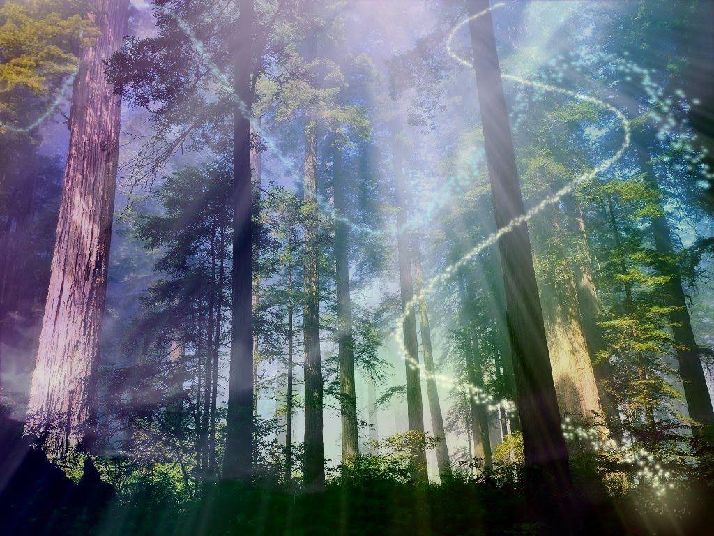 1024x768 Hij keek naar de gloed van de Aether die achter zijn oogleden danste terwijl Aria de geluiden beschreef die ze hoo. Magic forest, Magical forest, Mystical forest