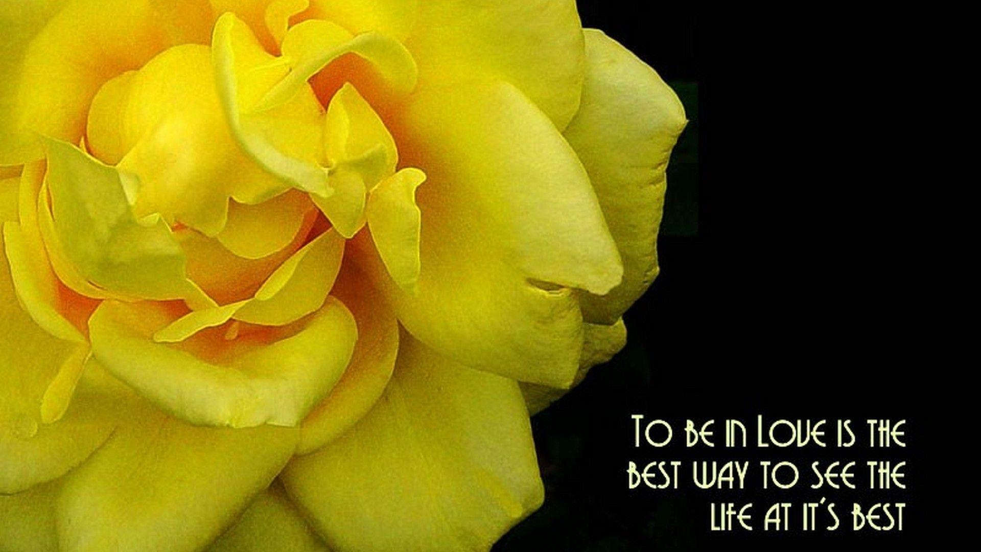 1920x1080 Best Black and Yellow Wallpaper Cute Wallpaper