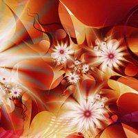 200x200 High Quality And Beautiful Wallpaper