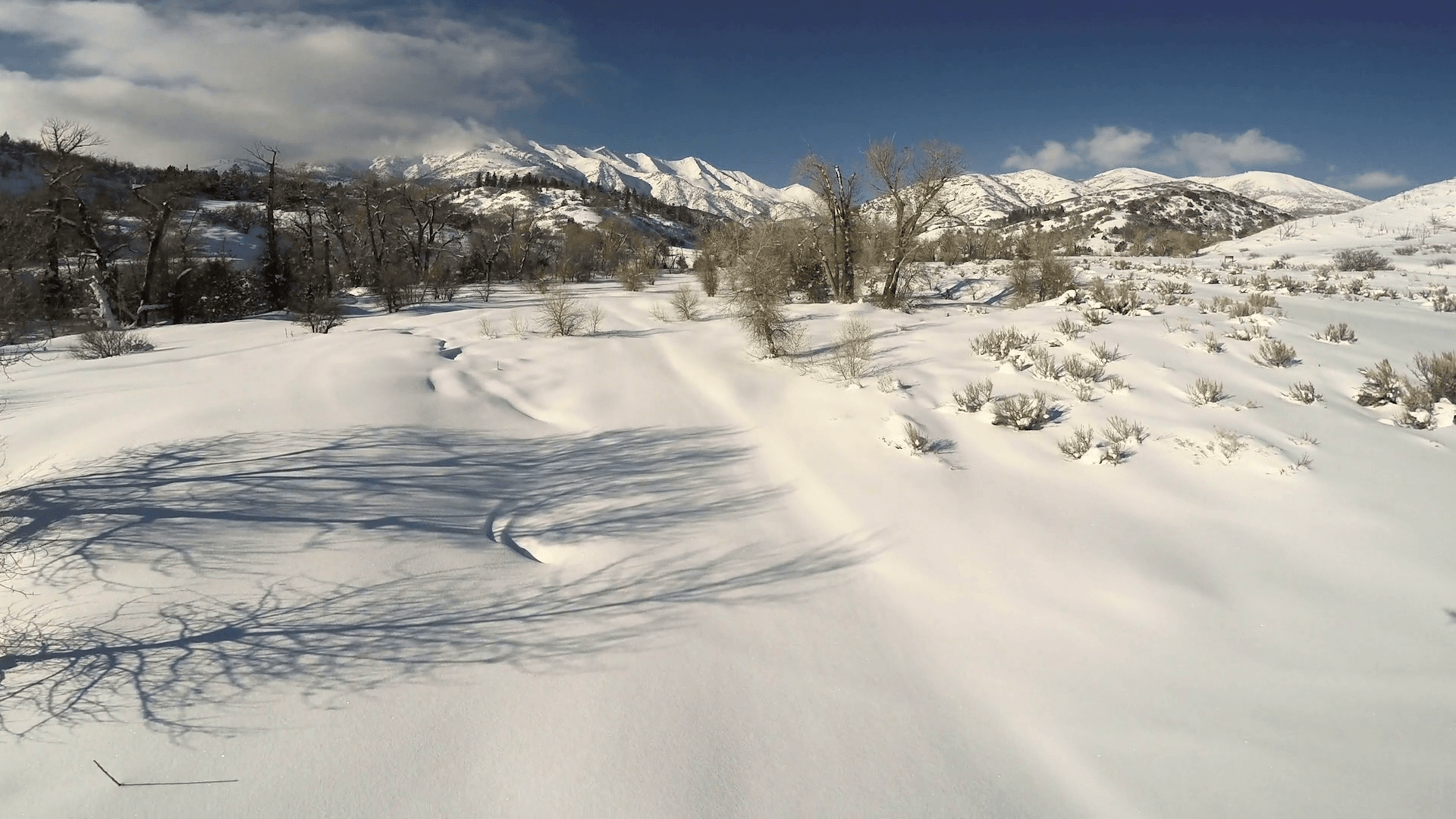1920x1080 Aerial Flying Over Pristine Snowy Winter Scene Passing Trees