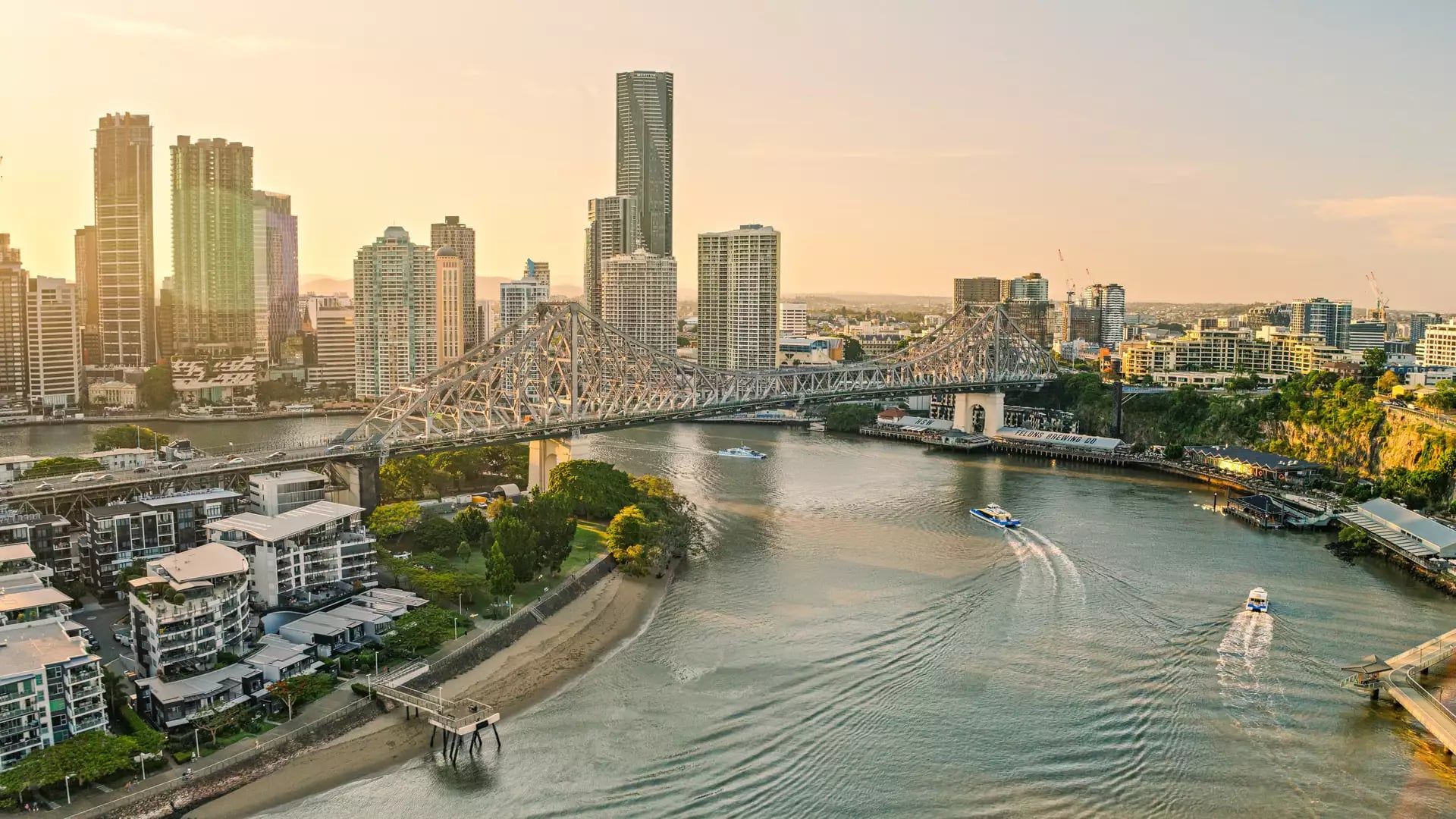 1920x1080 City Break. Dolphins and Koala