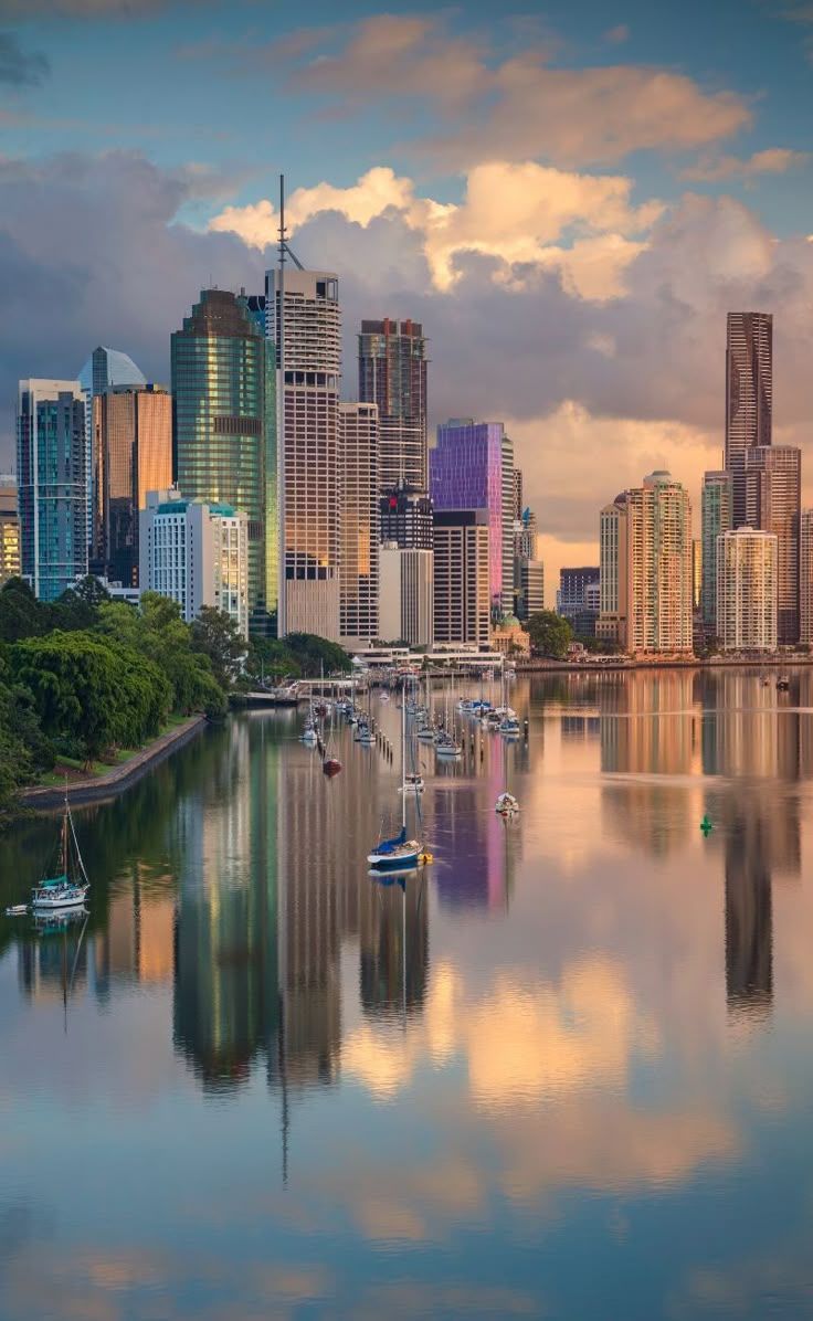 736x1196 Things To Do In Brisbane