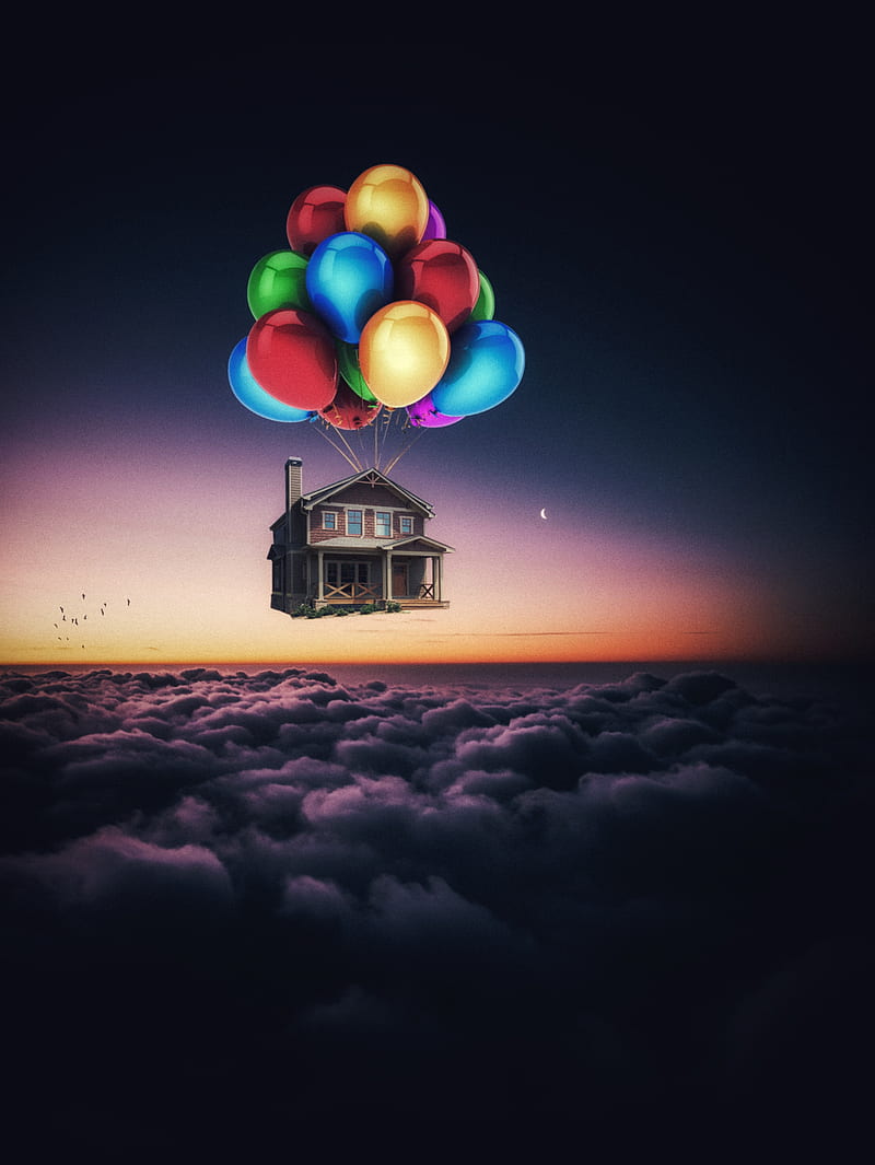 800x1065 HD flying house wallpaper