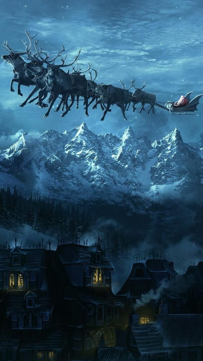 800x1422 HD flying house wallpaper