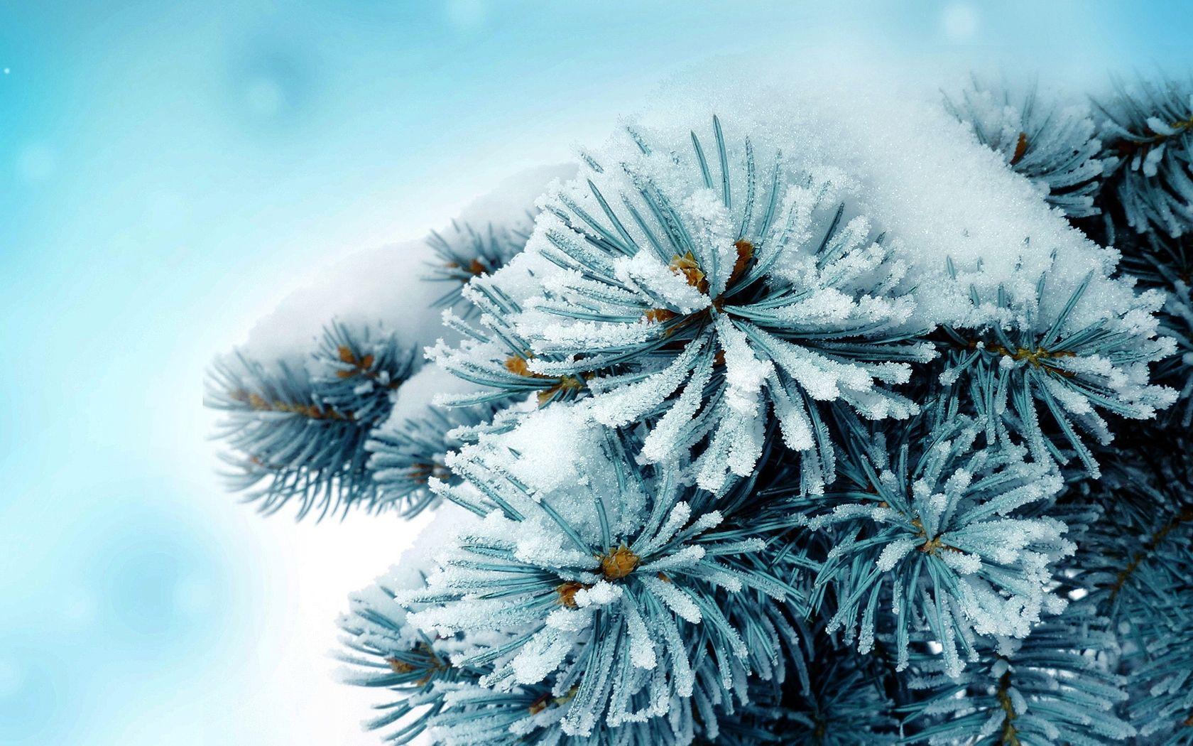 Frosty the Snowman, snow, HD phone wallpaper | Peakpx