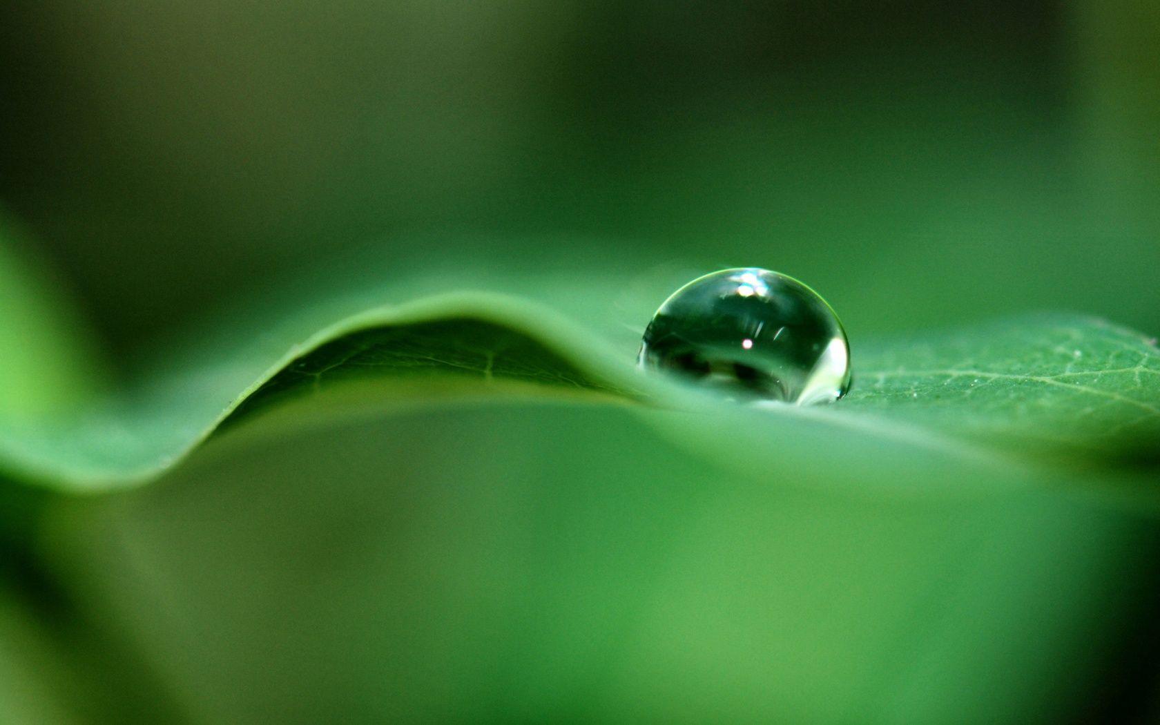 1680x1050 Dew Wallpaper HD HD Wallpaper