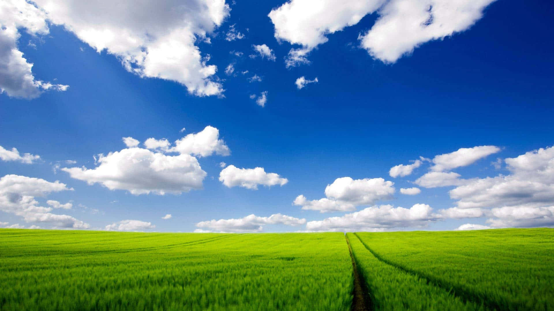 1920x1080 Download Windows XP Logo Wallpaper