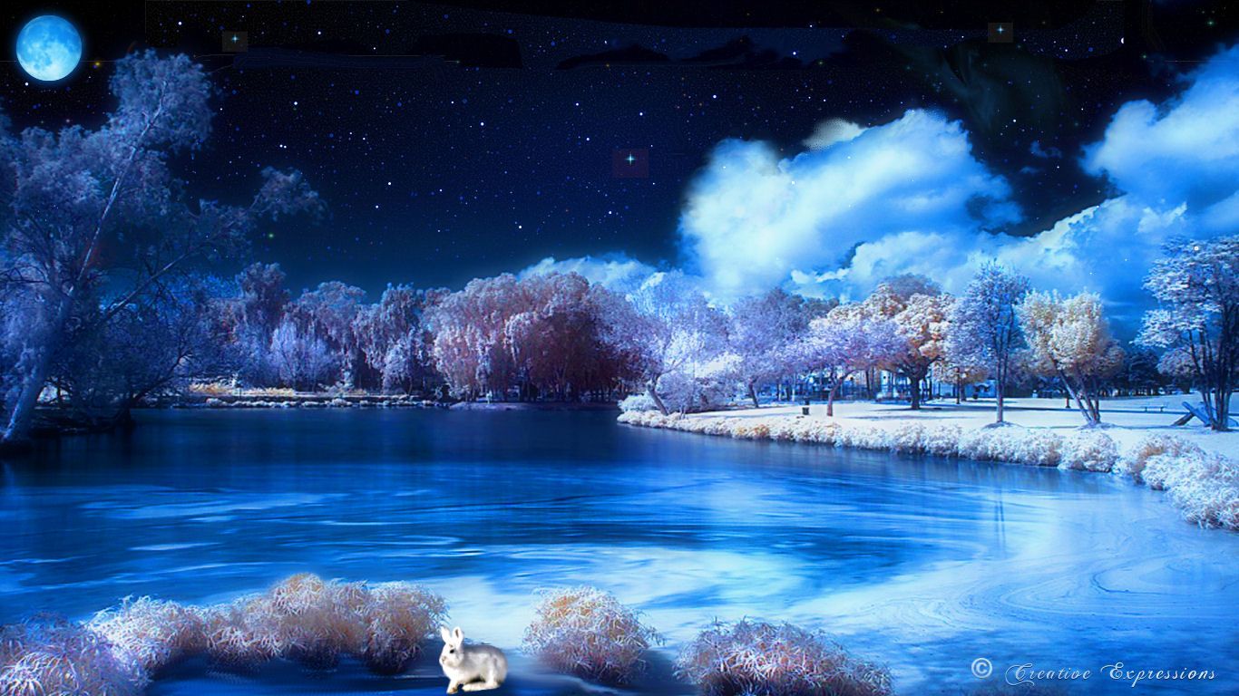 1366x768 Winter Windows XP Wallpaper