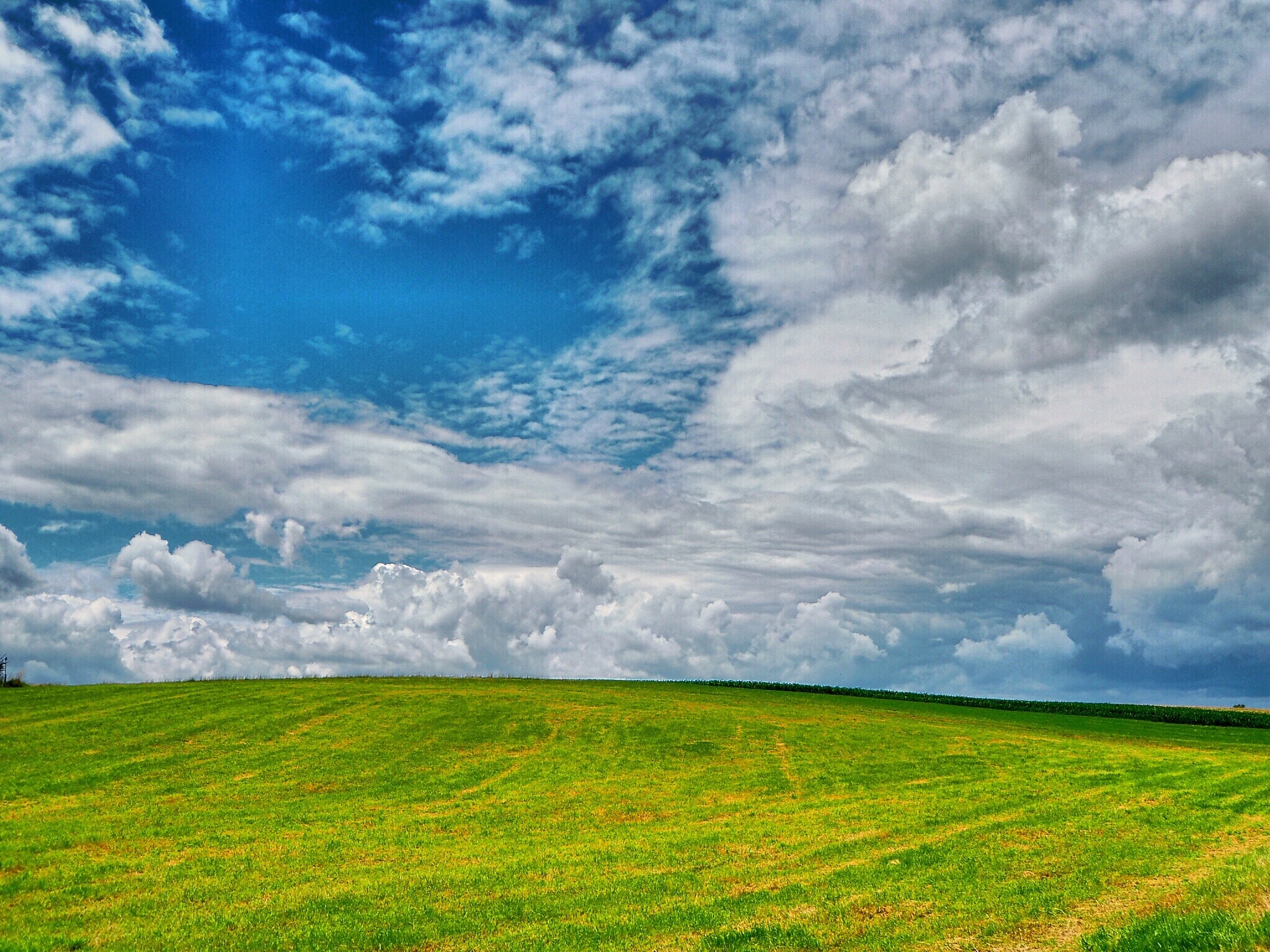 2048x1536 windows xp wallpaper free image