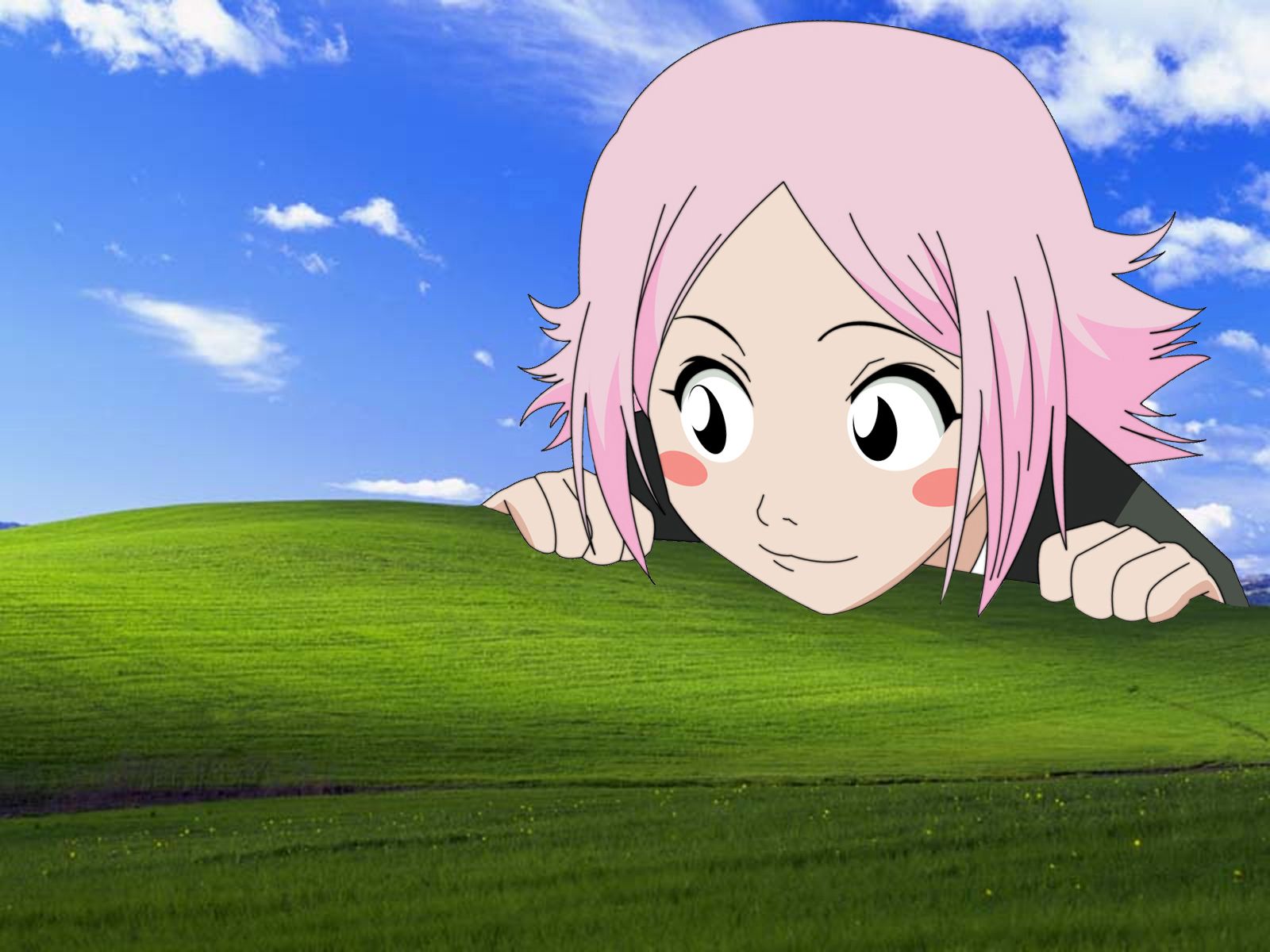 1600x1200 Windows Xp Bliss Modification Wallpaperx1200