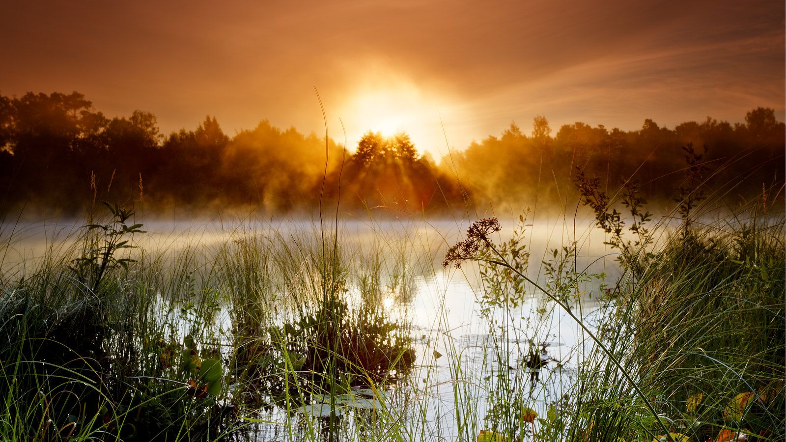 1600x900 Sunrise by the tarn. Taken at Sandbäckstjärn, Karlstad, Swe