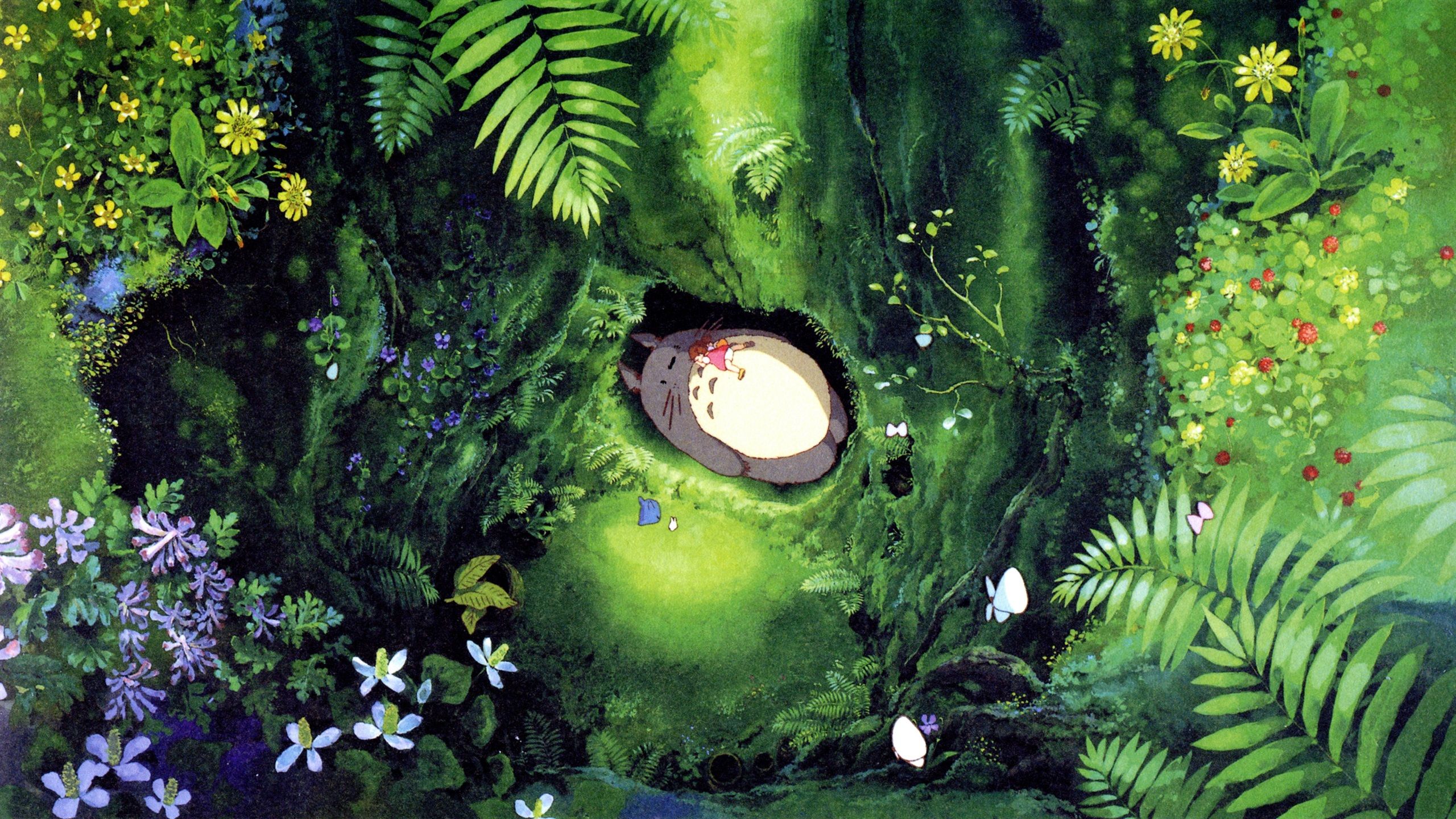 2560x1440 Wallpaper Hayao Miyazaki, My Neighbor Totoro, falling asleep 2880x1800 Picture, Image