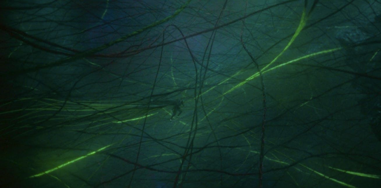 1308x645 Loki' Season 2 Ending Explained: Did Loki Just Become Yggdrasil the World Tree?