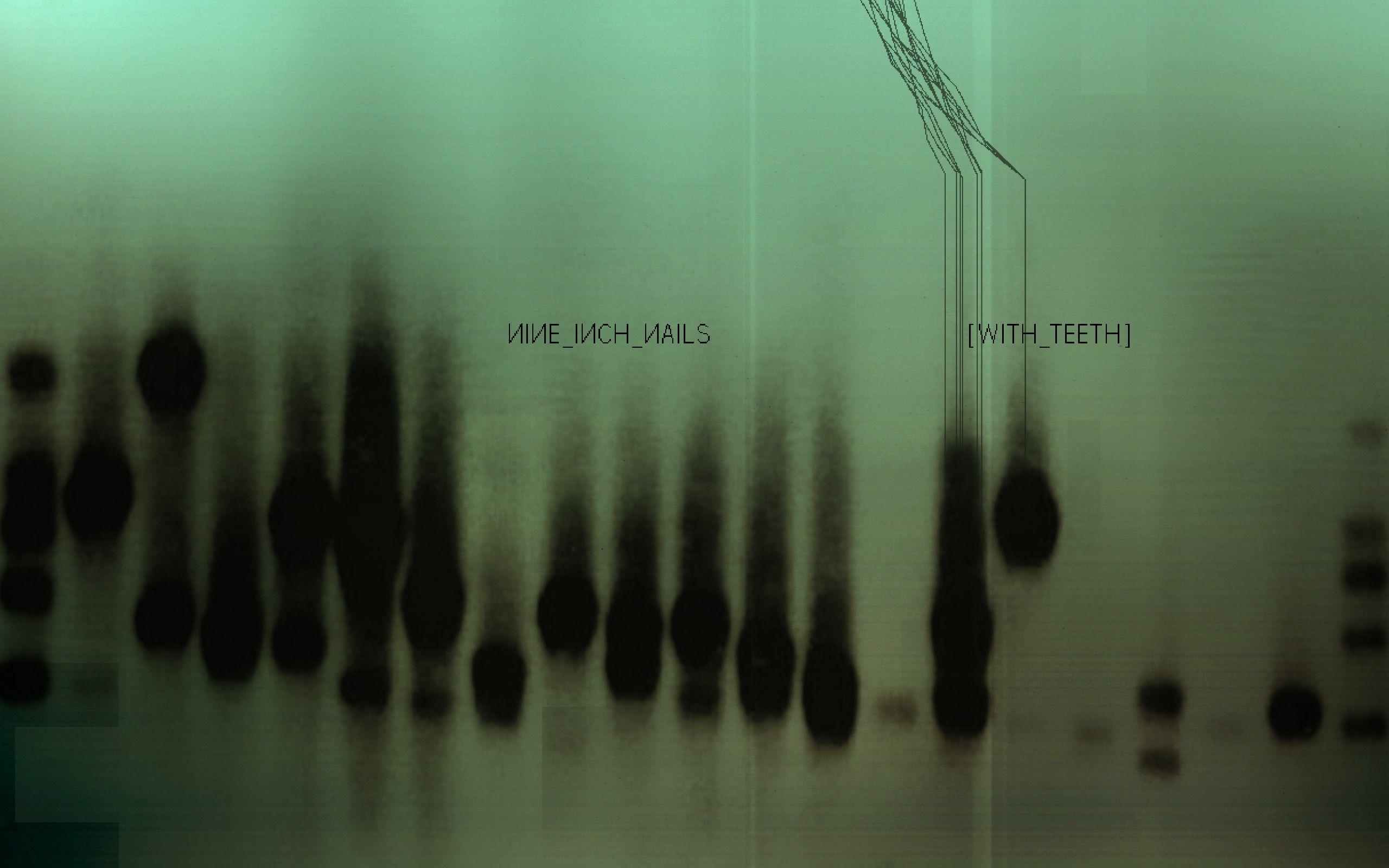 2560x1600 Nine Inch Nails Wallpaper HD / Desktop and Mobile Background