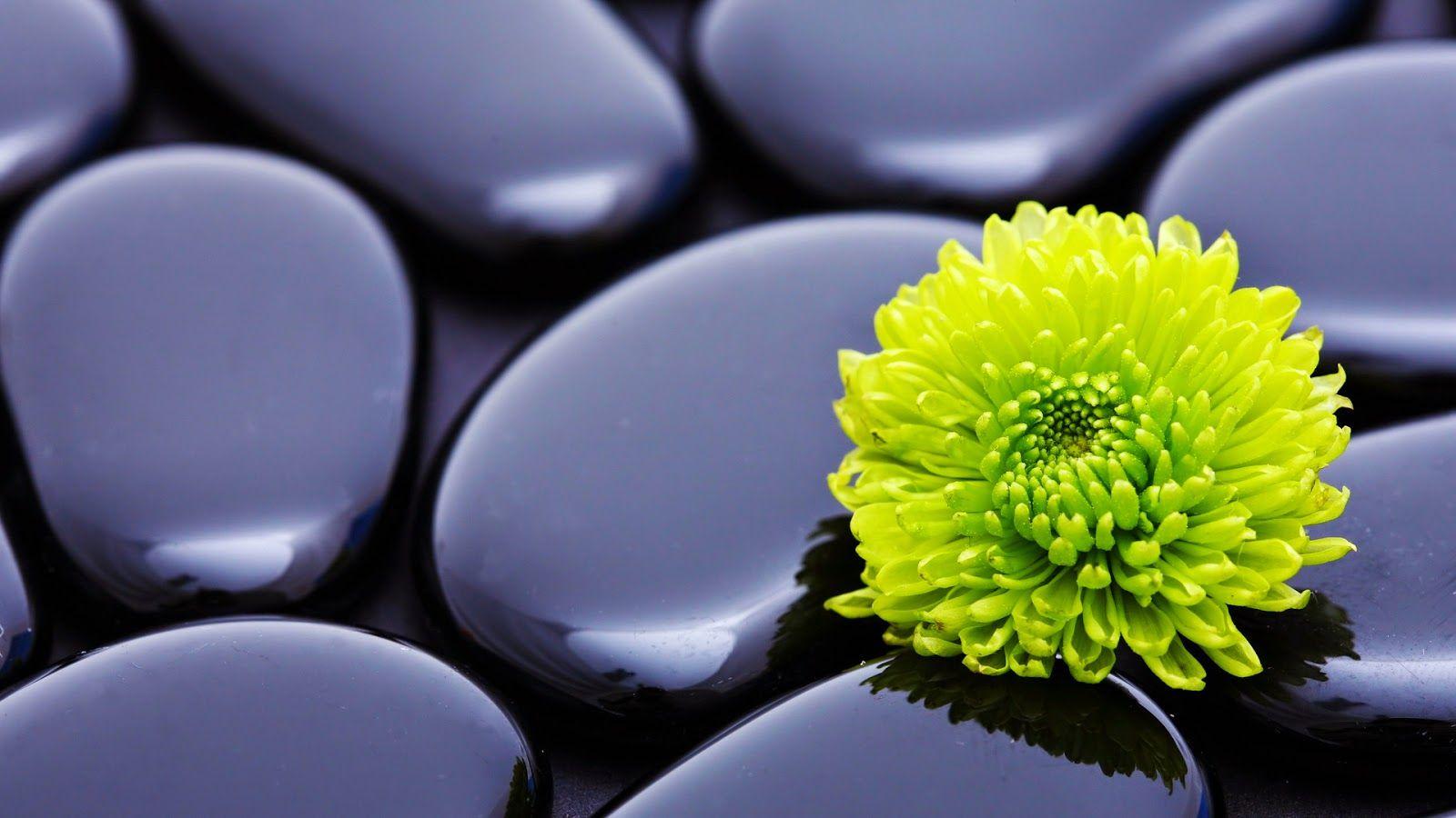 1600x900 Chinese Zen meditation picture 1080p Full HD widescreen Wallpaper
