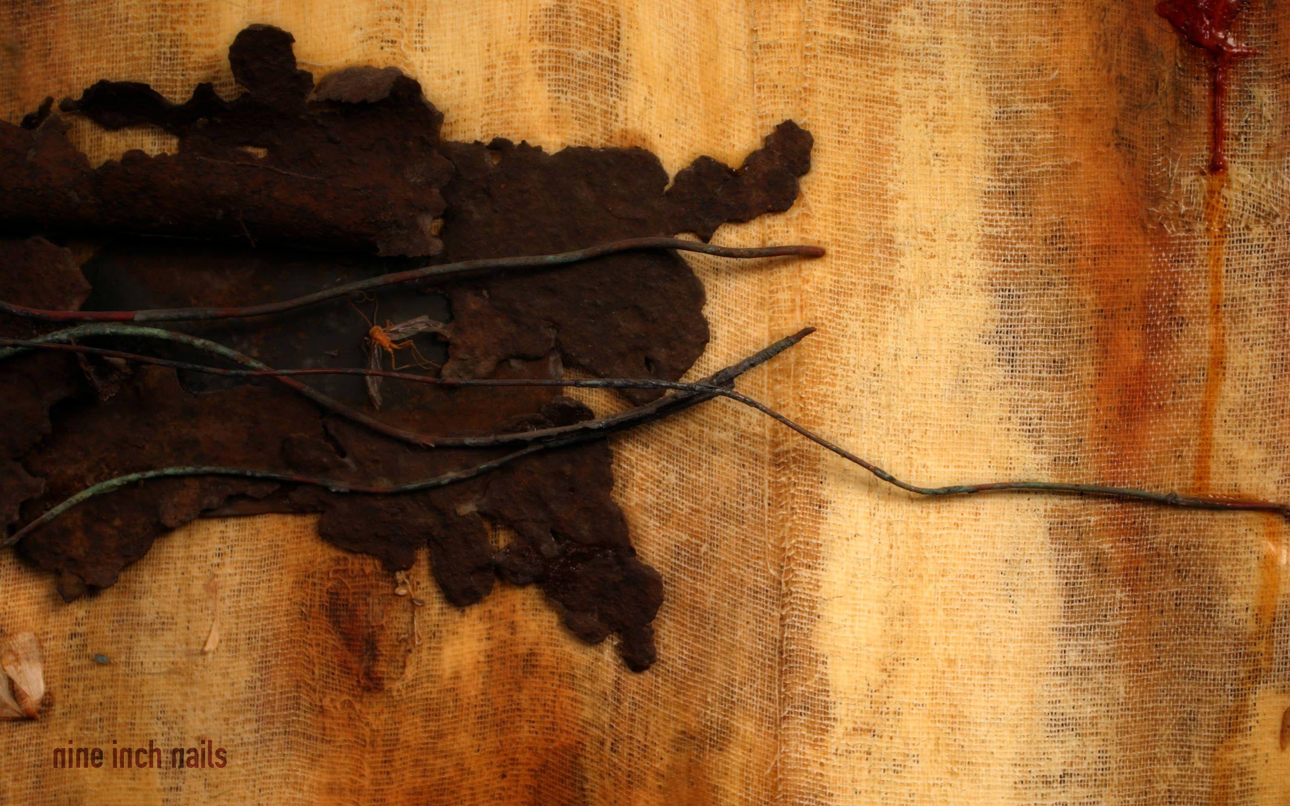 2560x1600 Nine Inch Nails Downward Spiral Wallpaper dump (art credit to: Russell Mills)