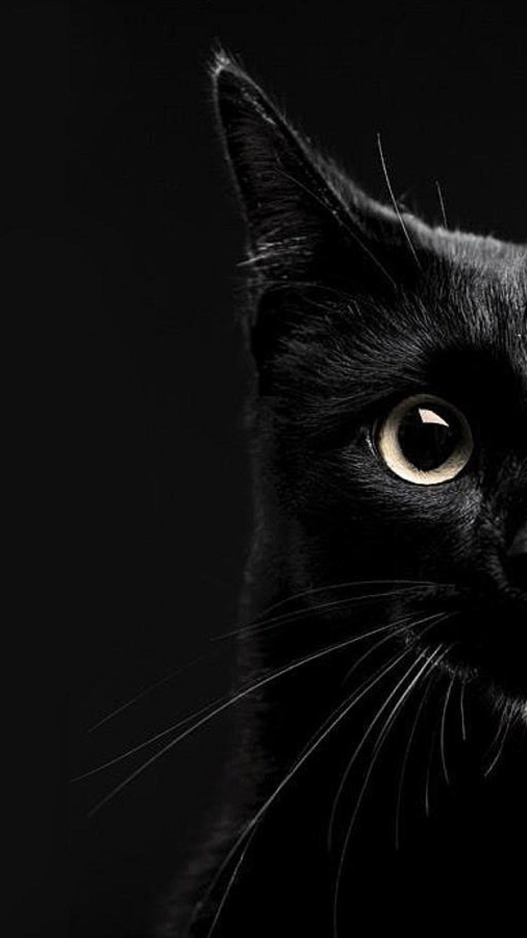 Black Cat 3D Wallpapers - Top Free Black Cat 3D Backgrounds