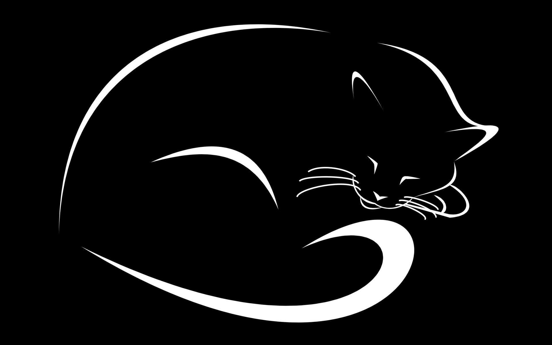 1920x1200 Cool Black Cat Image in 4K Ultra HD