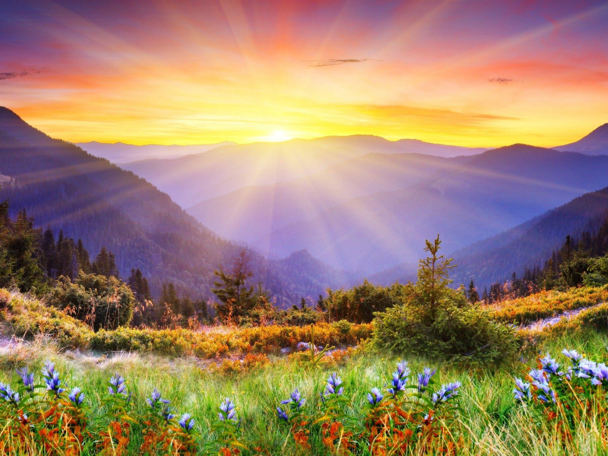 2048x1536 Free download Magical Landscape 4K Ultra HD wallpaper 4k WallpaperNet [2048x1536] for your Desktop, Mobile & Tablet. Explore 4K HD Wallpaper for TabletsD Live Wallpaper for Desktop, HD