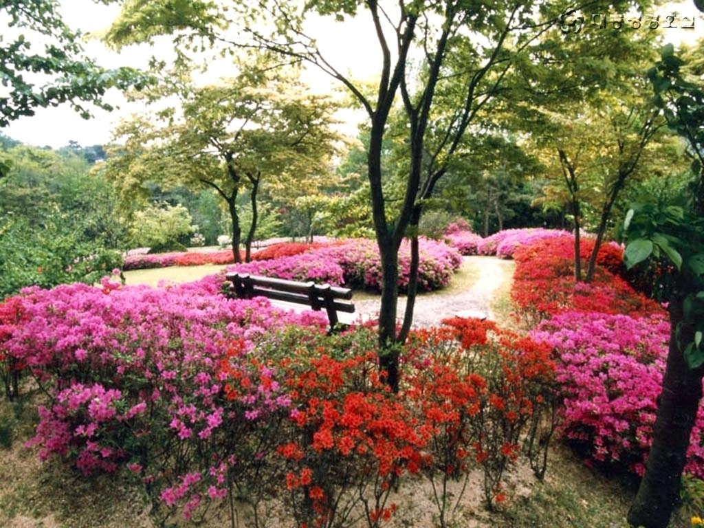 1024x768 Japanese Garden Seat