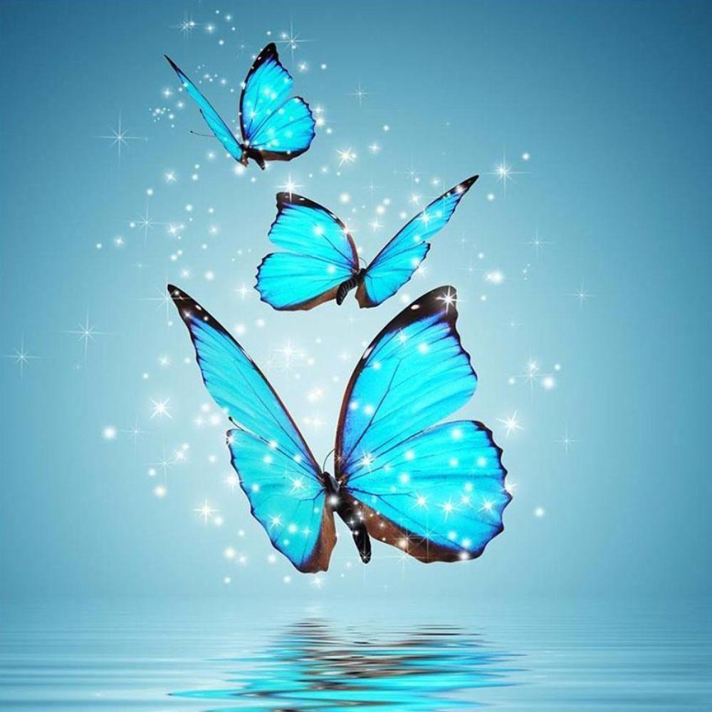 Flying Butterfly Wallpapers - Top Những Hình Ảnh Đẹp