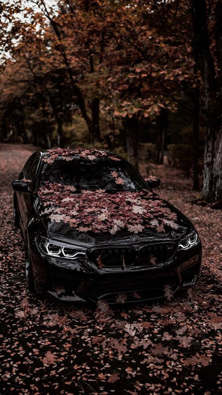 720x1280 BMW M5 Black wallpaper