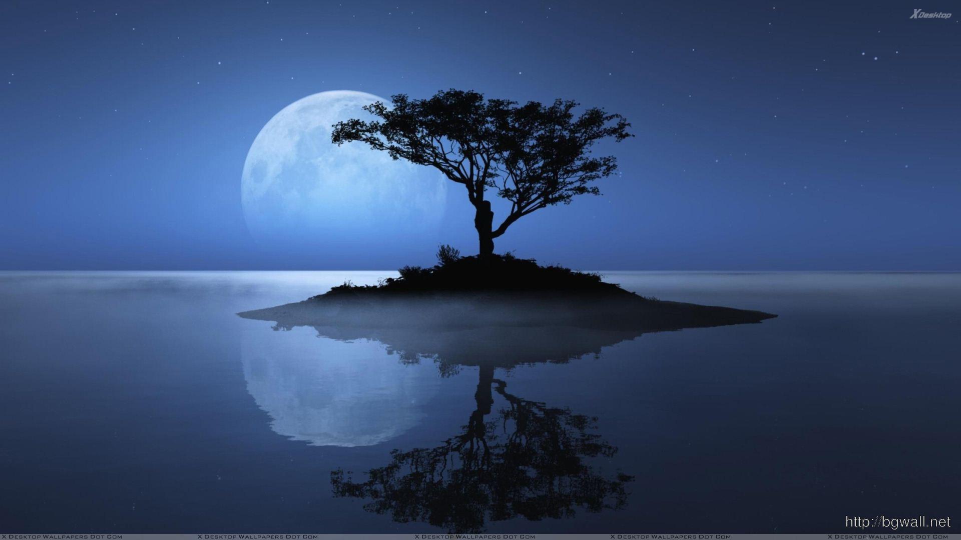 1920x1080 Blue Moon Over The Water Evening Scene Wallpaper