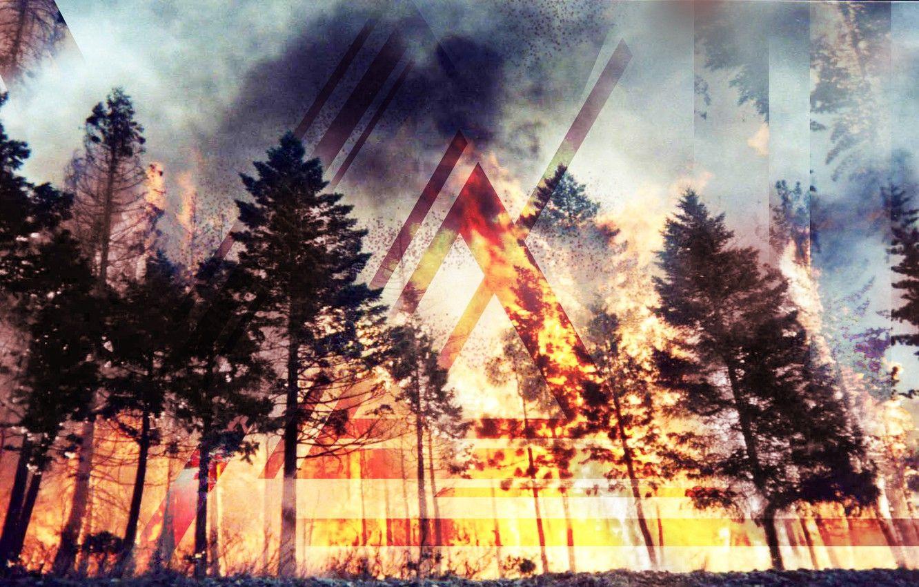 1332x850 Wallpaper forest, line, fire, fire, fire, forest, triangle, lines, awesome, cool, best, cool, triangle, mirage, zero, best image for desktop, section пейзажи
