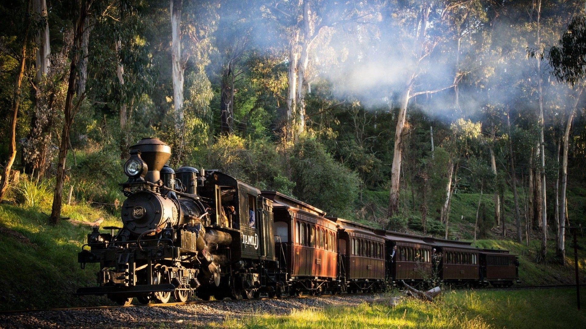 1920x1080 landscape, Train, Railway, Nature, Steam Locomotive, Australia, Trees, Forest, Smoke, Grass, Sunlight Wallpaper HD / Desktop and Mobile Background