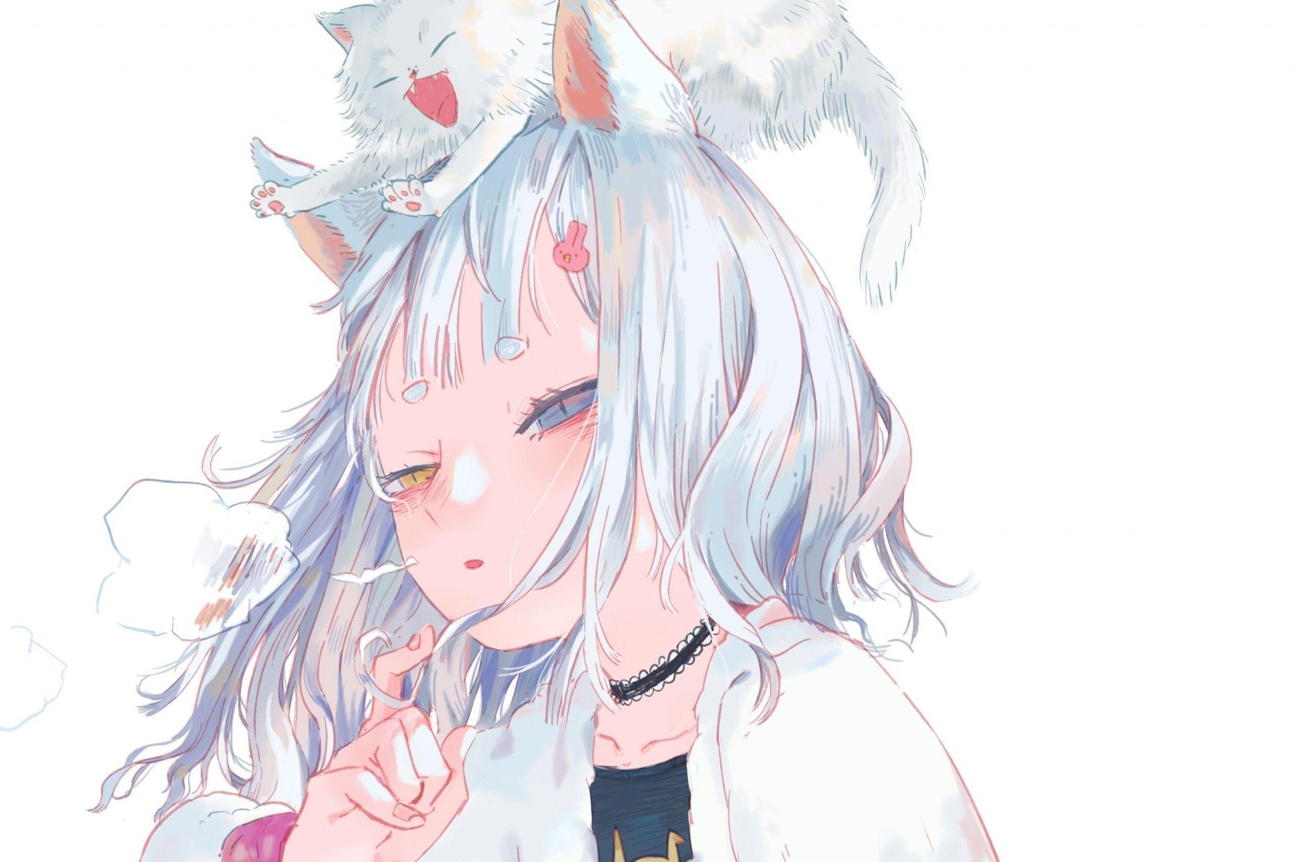 Cat With White Hair Anime Girl