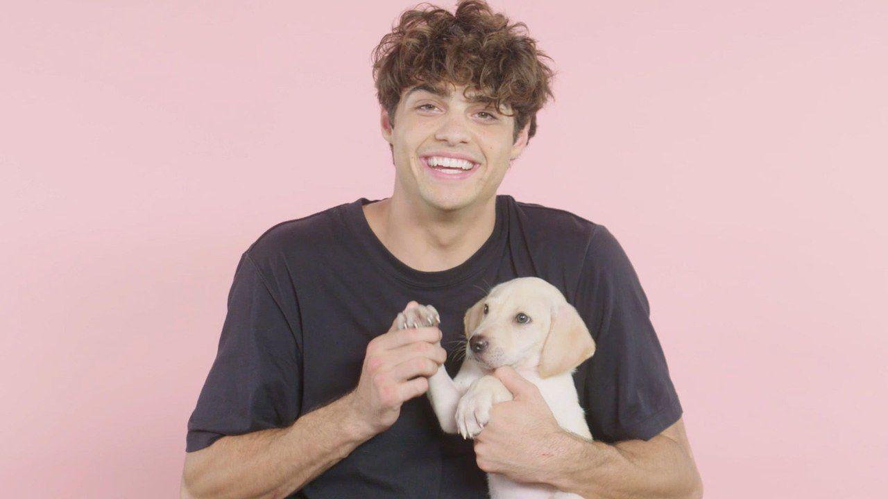 This Rambo Pic Is Worth More Than A Thousand Words. See Noah Centineo! - v13esr4