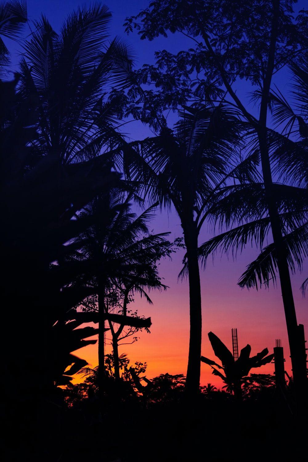 1000x1500 Apple Watch Wallpaper: Free HD Download [HQ]