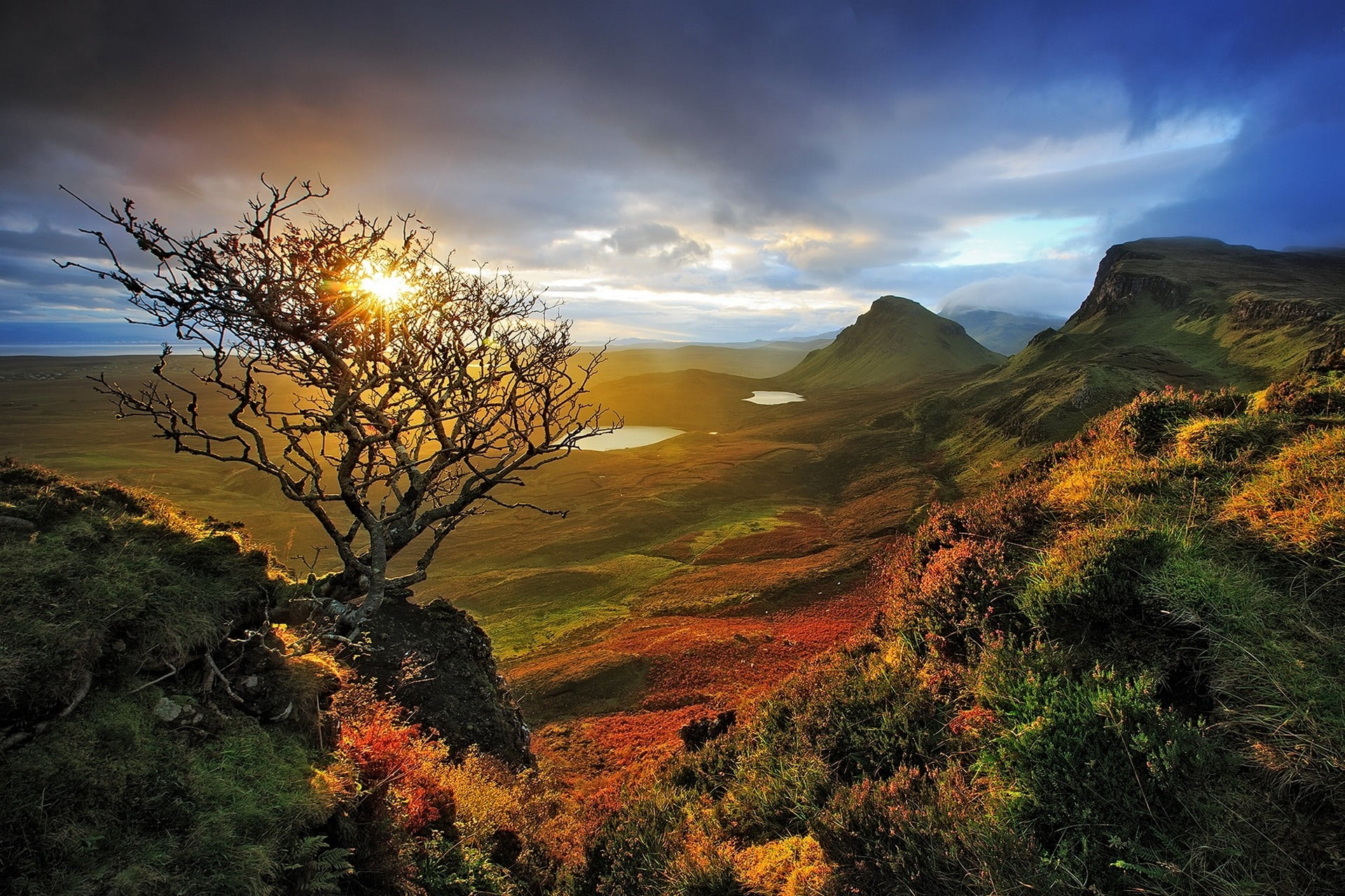 1920x1280 Withered tree and mountain graphic wallpaper, nature, landscape, Skye, Scotland HD wallpaper