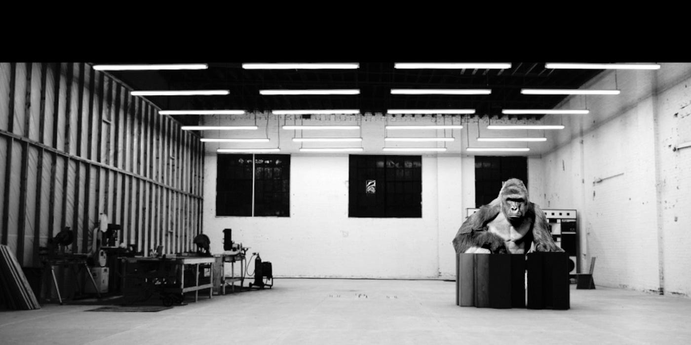 1400x700 Frank Ocean: Blonde Review. E: We're back with Blogging Ain't Dead. by Roger & Eamon. Blogging Ain't Dead