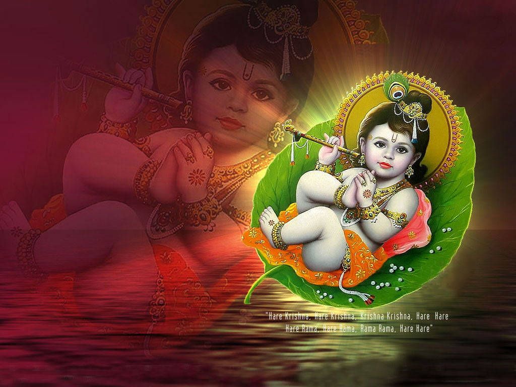 1024x768 Download Little Beautiful Krishna Hindu God Wallpaper