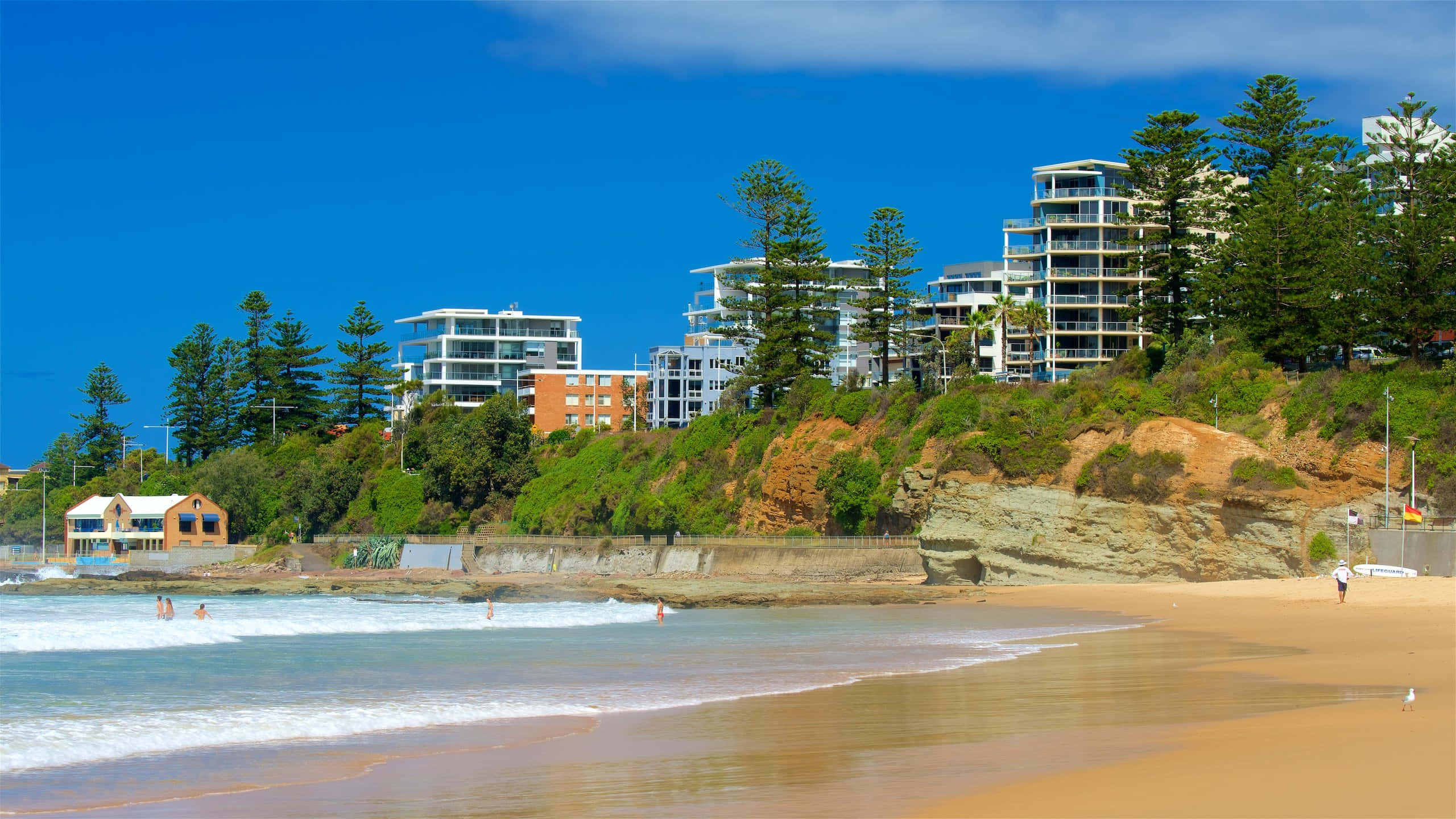 2560x1440 Download Captivating Wollongong Skyline at Dusk Wallpaper