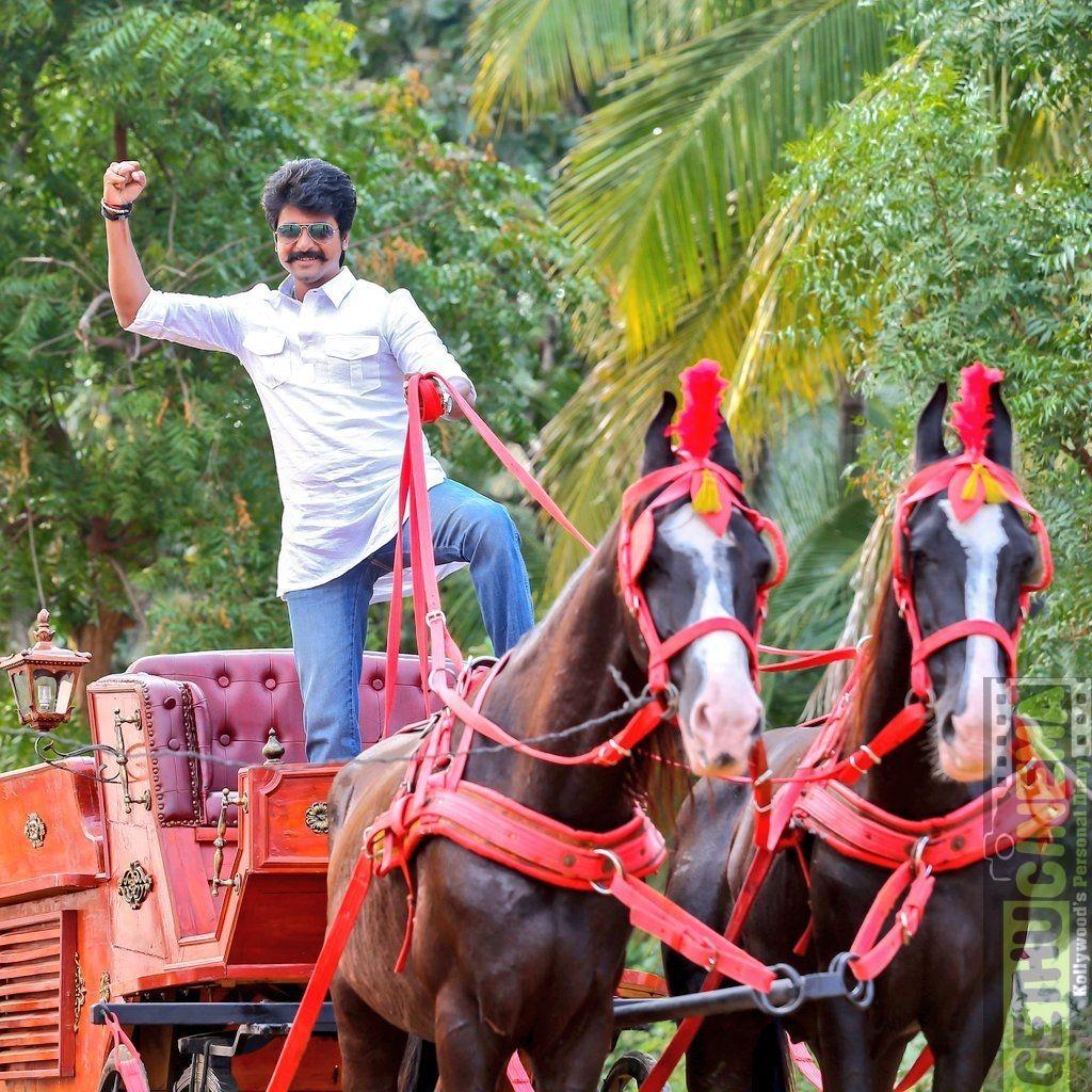1024x1024 Seemaraja Tamil Movie Official High Quality Photo. Sivakarthikeyan Cinema. Tamil movies, Movies, Photo