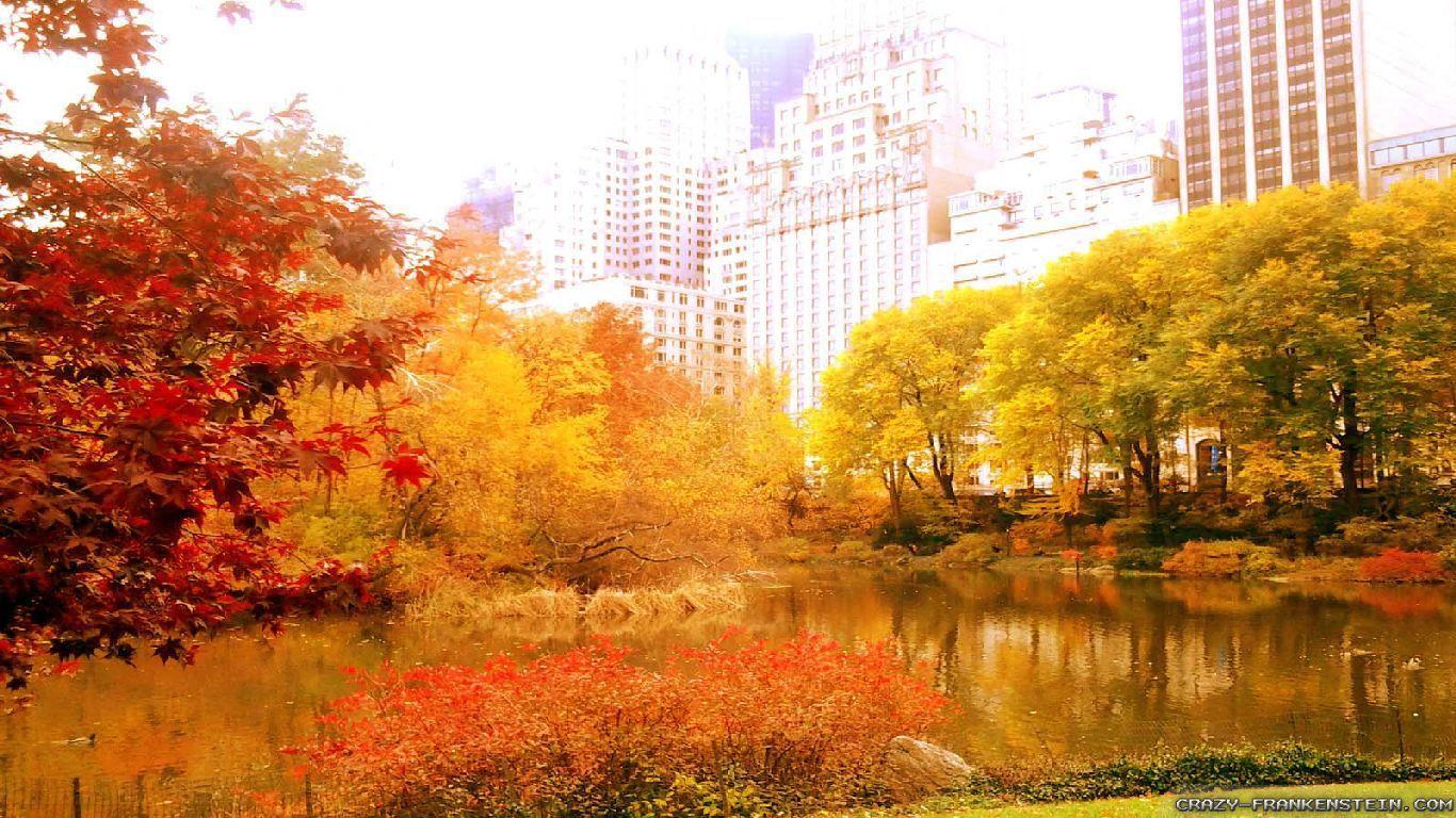 1366x768 Romantic Autumn in New York Wallpaper. New York City Wallpaper, New York Sports Wallpaper and New York Wallpaper
