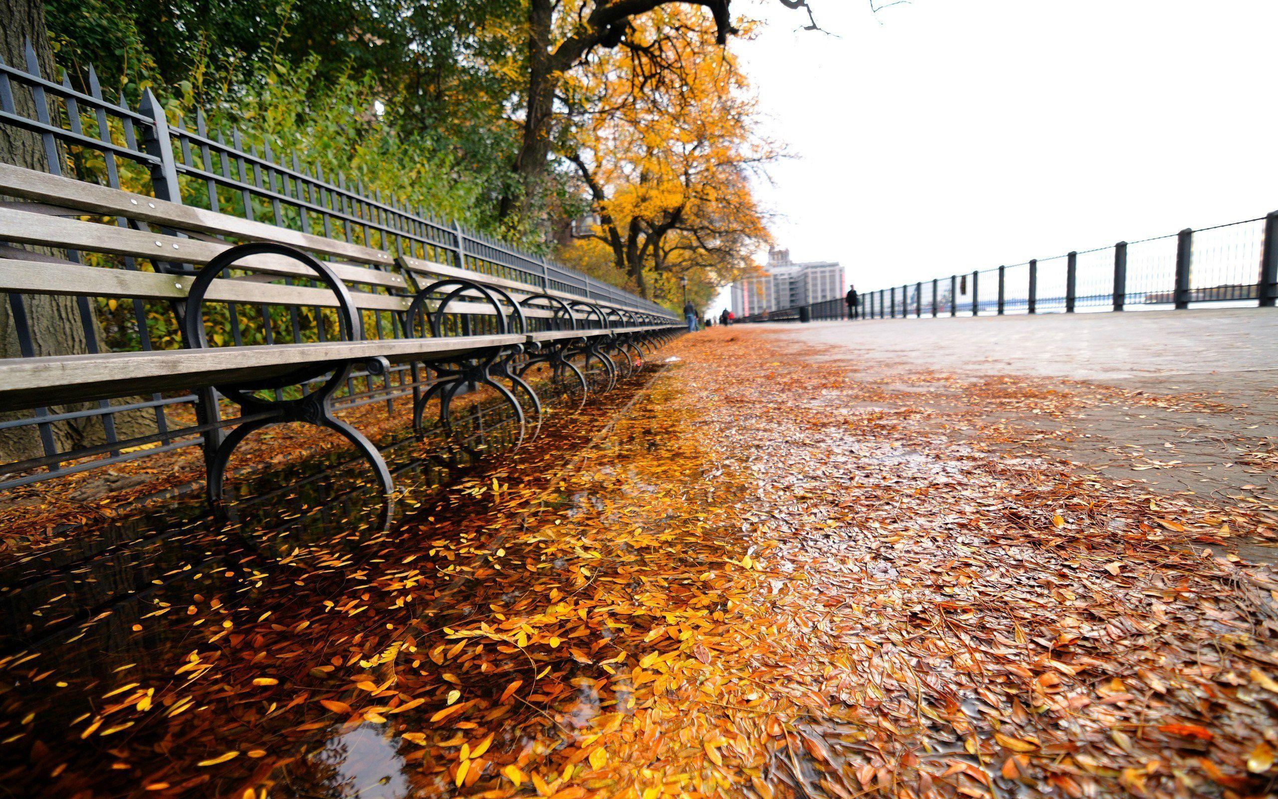 2560x1600 Autumn #new York (2560×1600) #desktop #wallpaper #background. Осенние виды, Фотографии, Обои